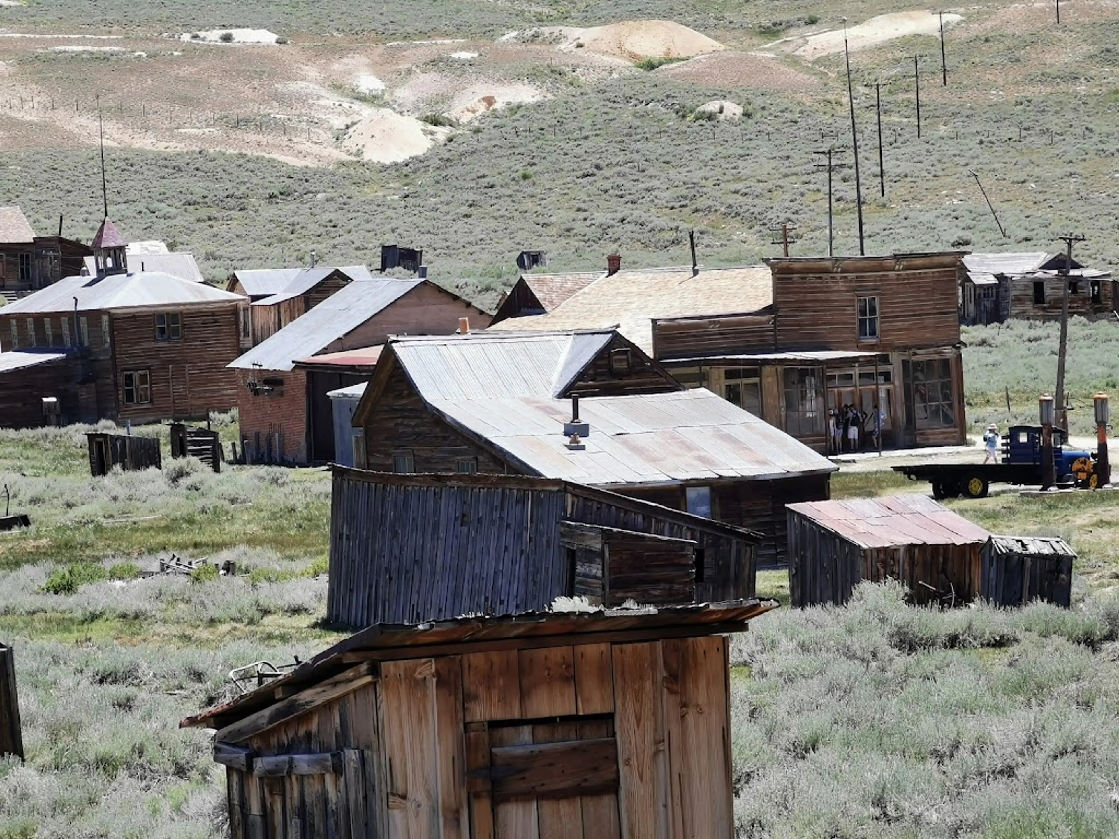 Bodie