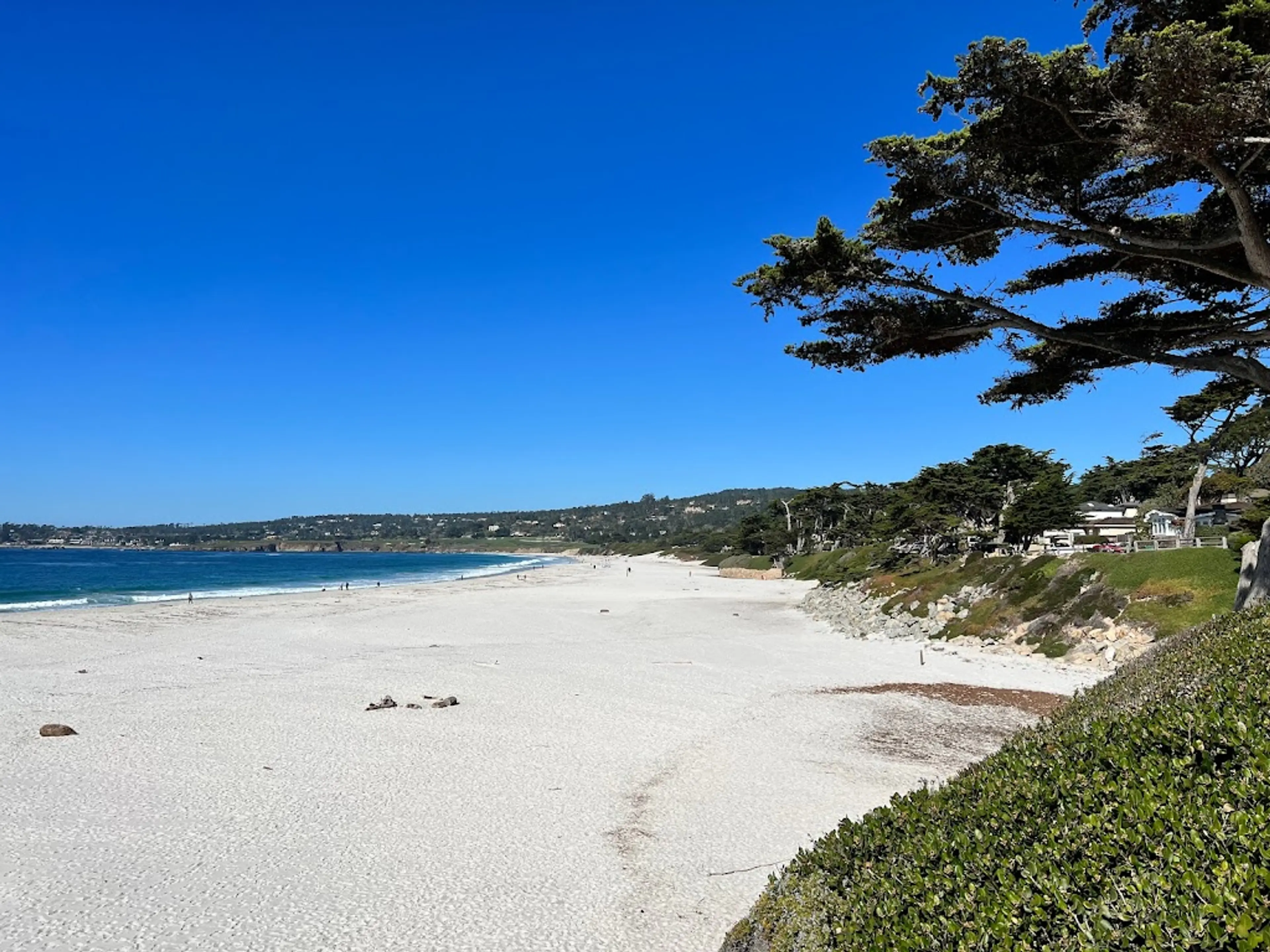 Carmel Beach