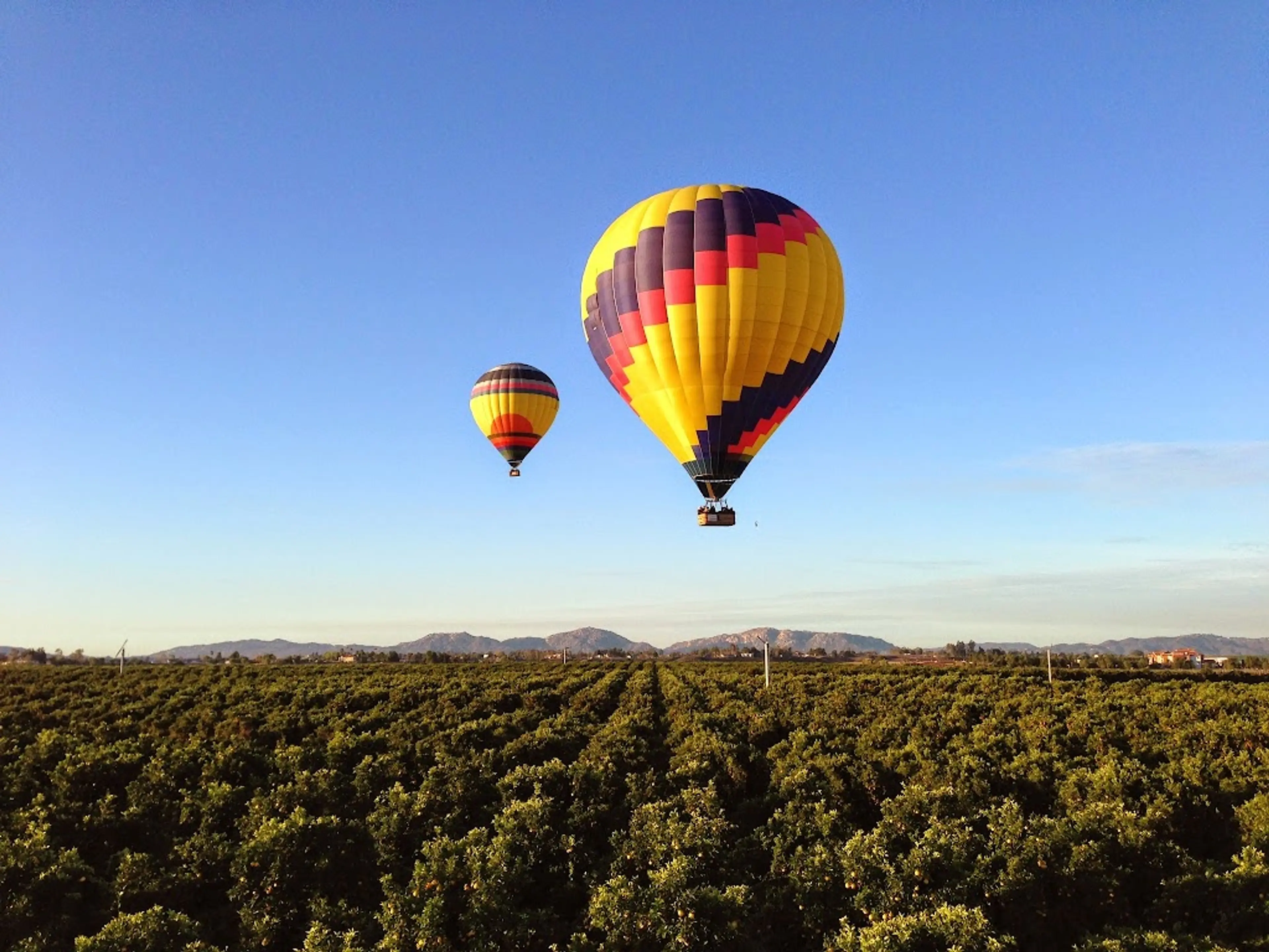Hot Air Balloon Ride