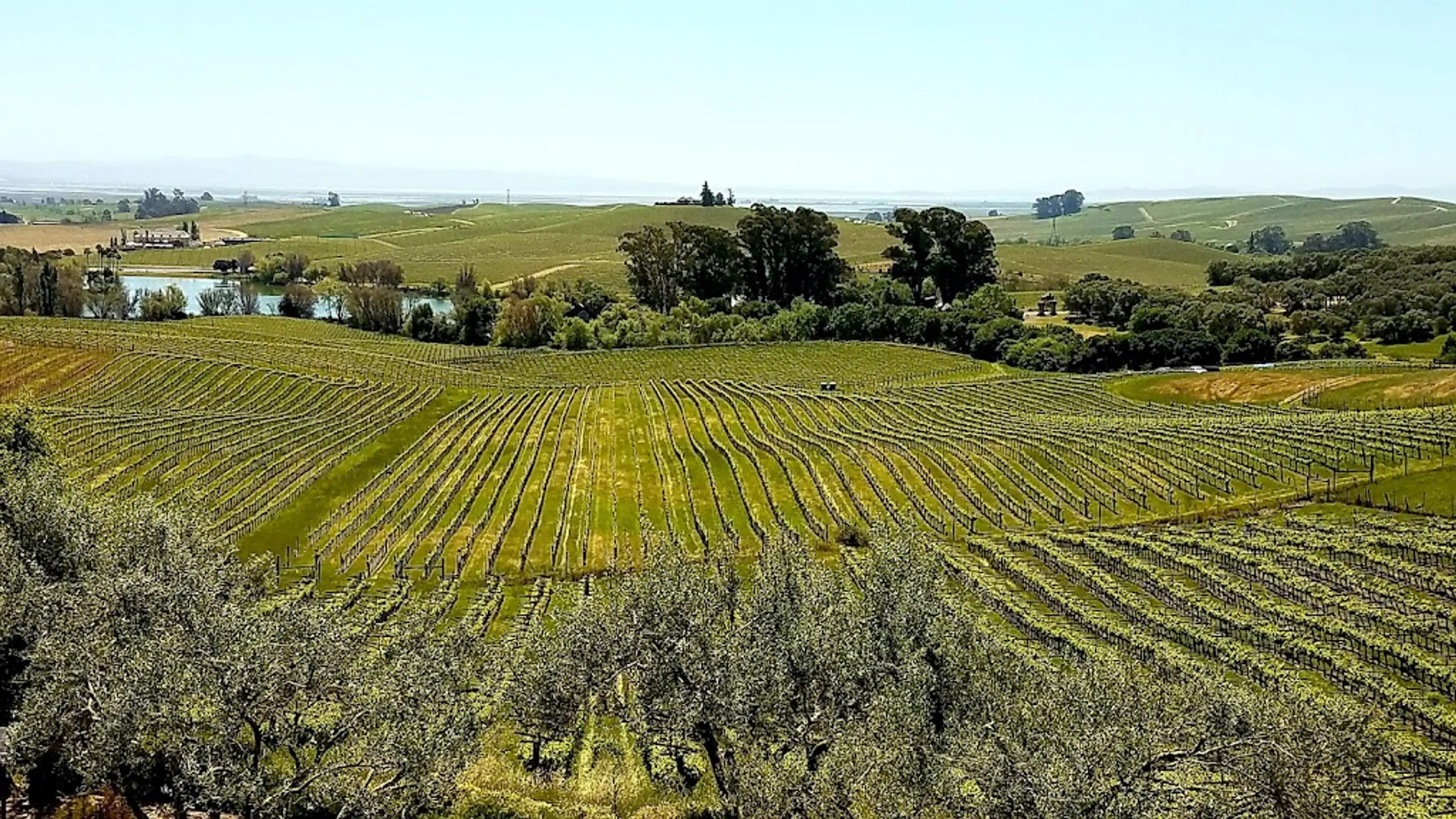 Napa Valley Wineries