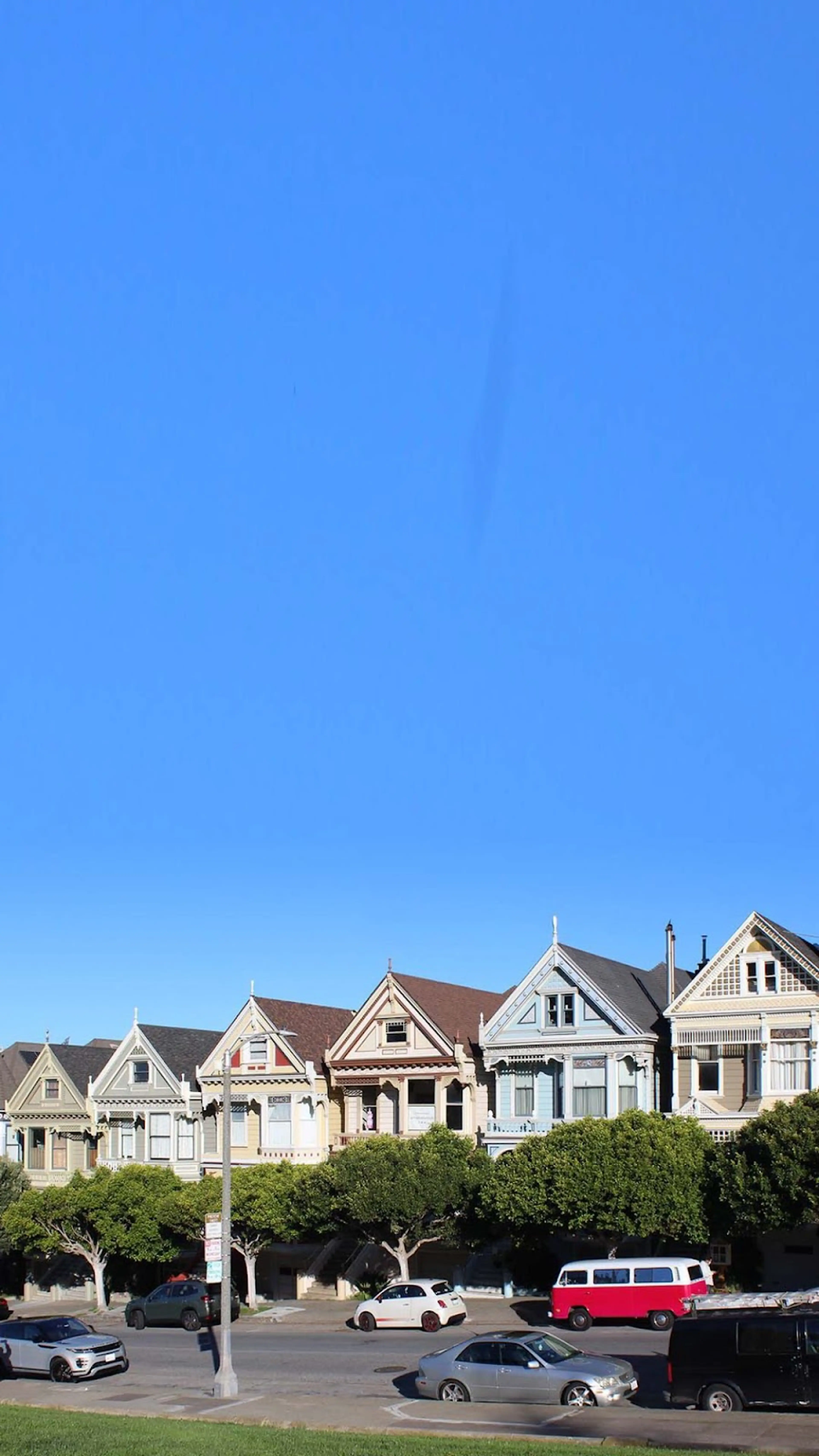 Painted Ladies