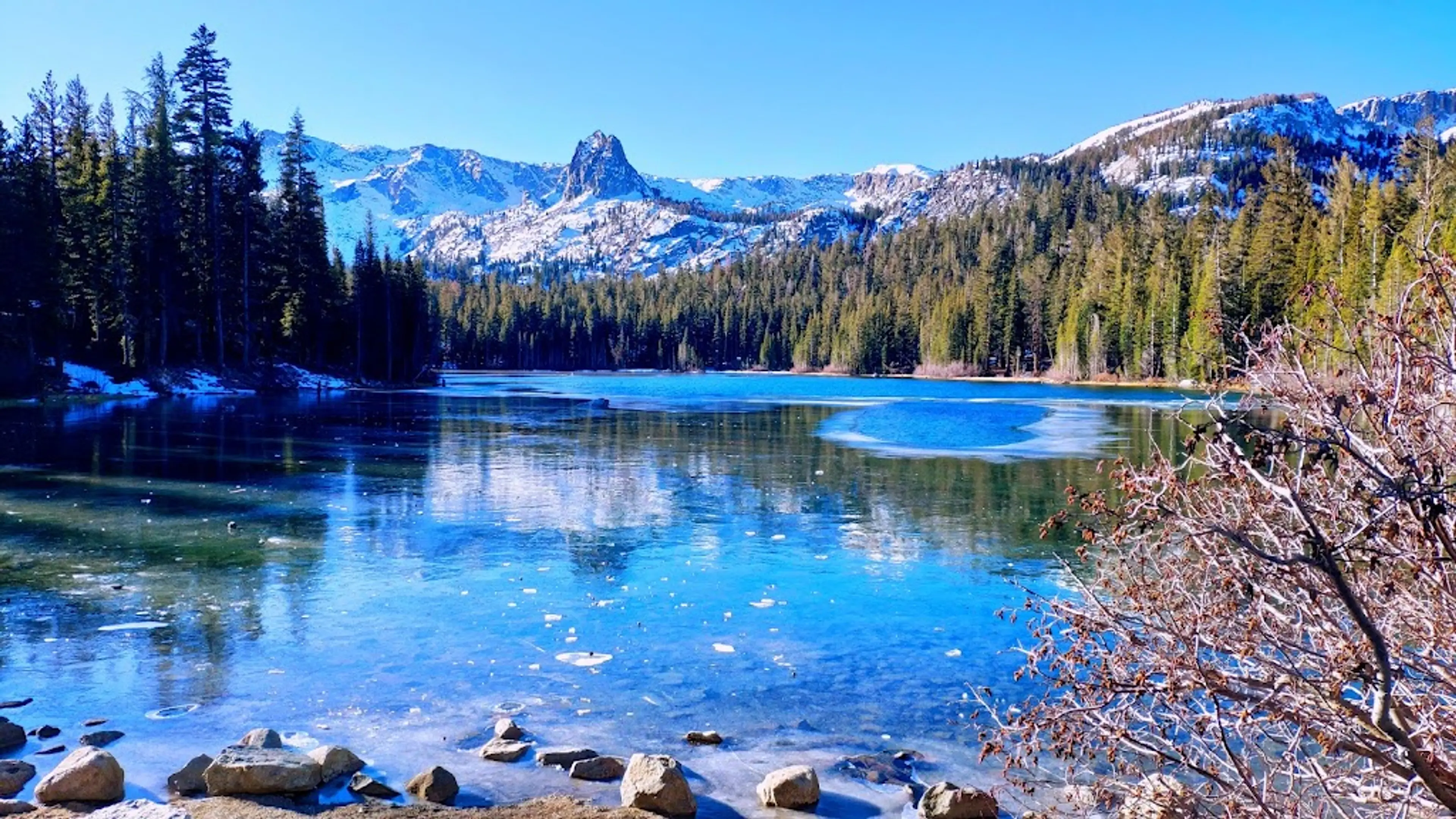 Sierra Nevada