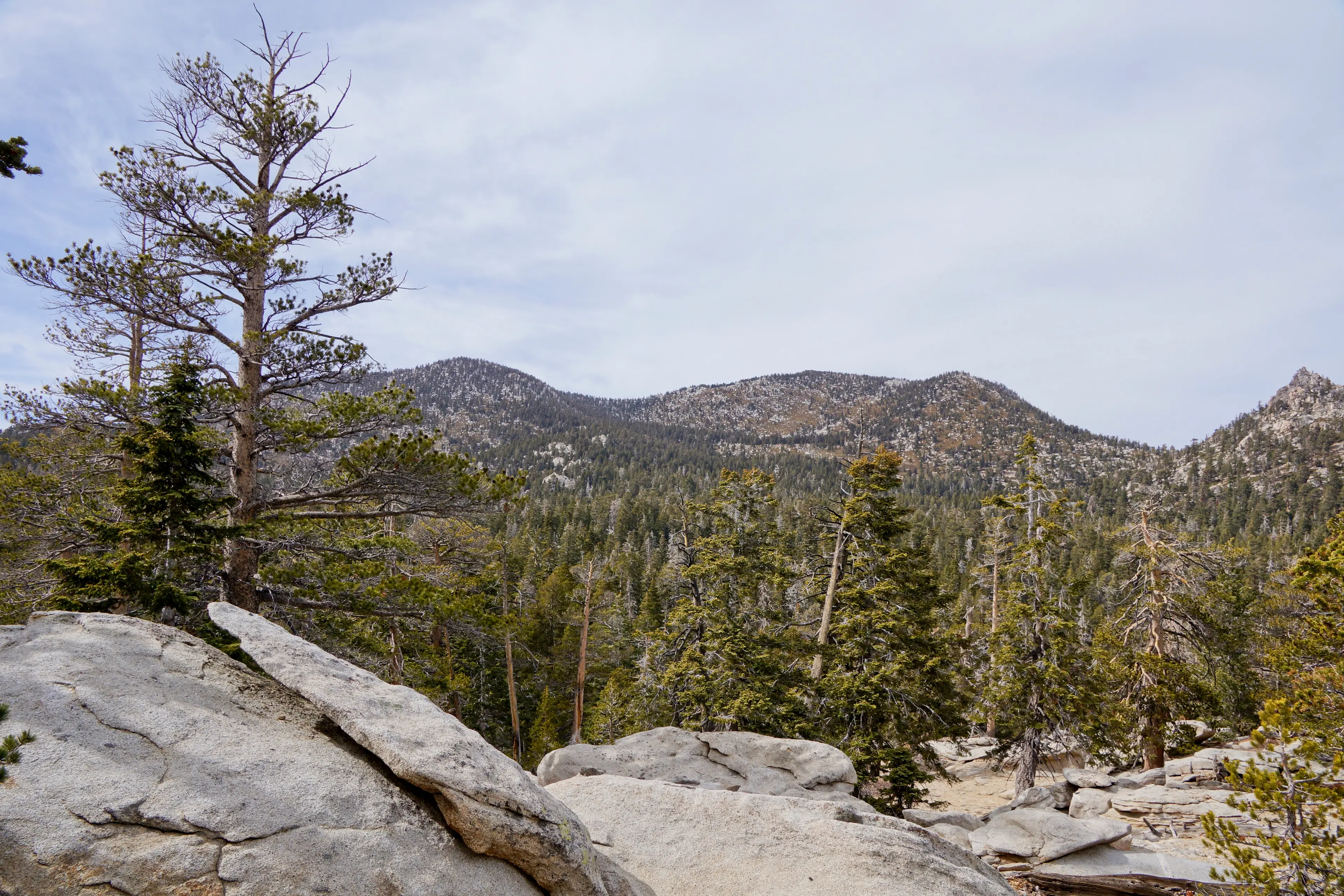 Mount San Jacinto State Park