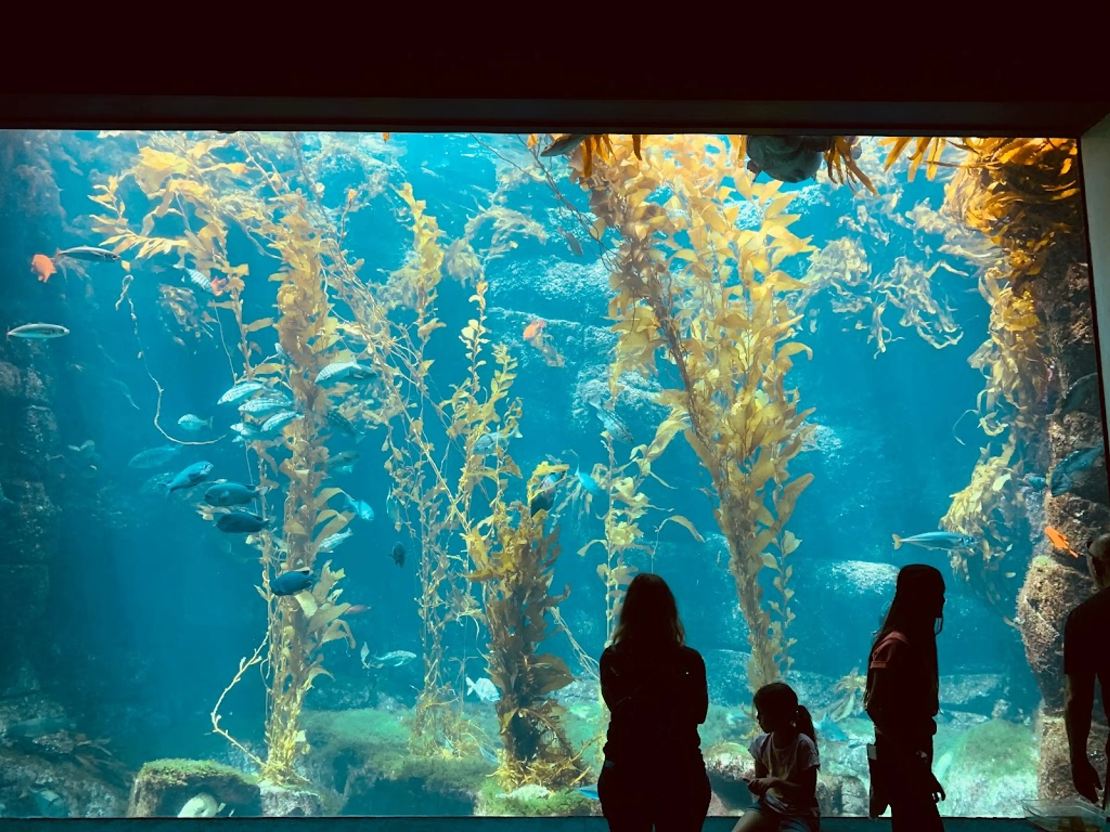 Birch Aquarium at Scripps