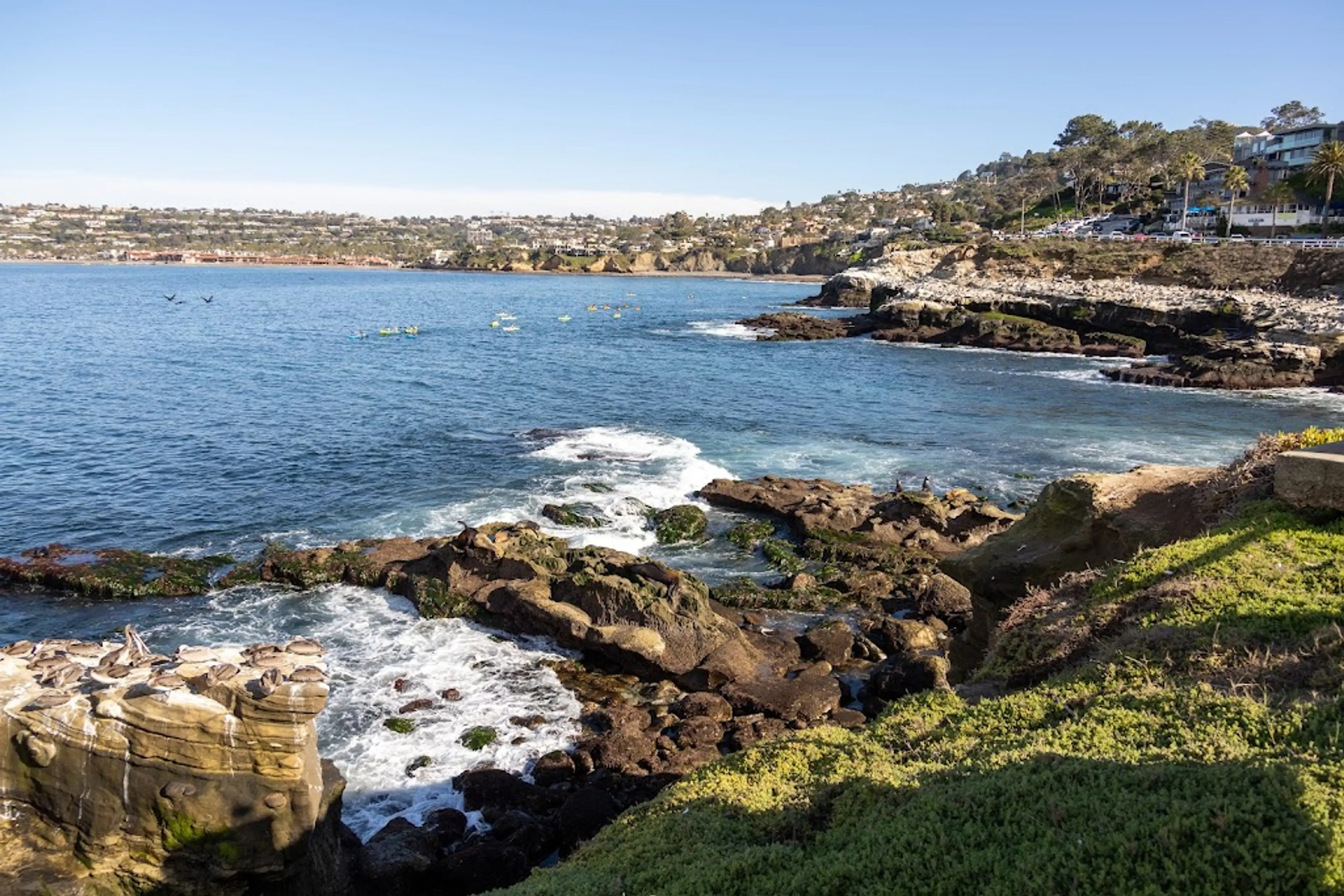 La Jolla Cove