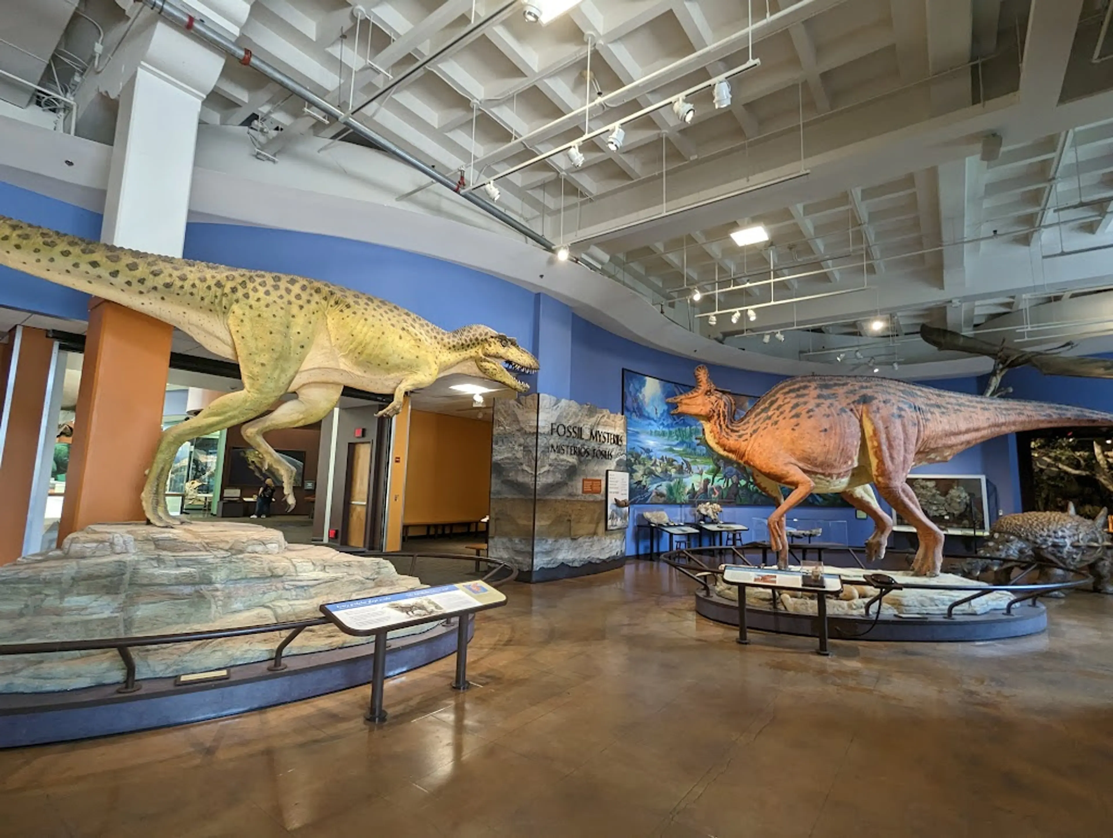 Museum in Balboa Park