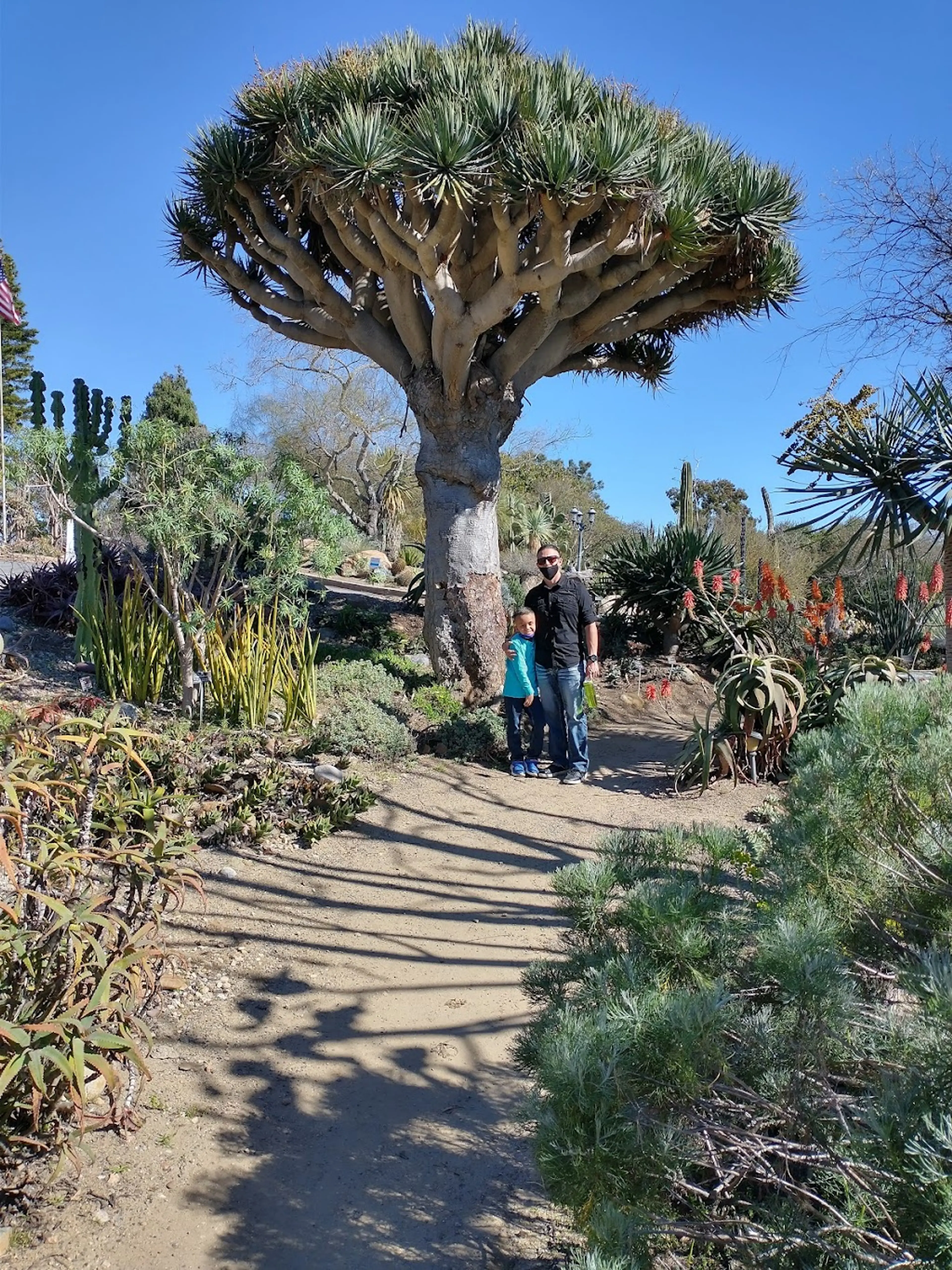 San Diego Botanic Garden