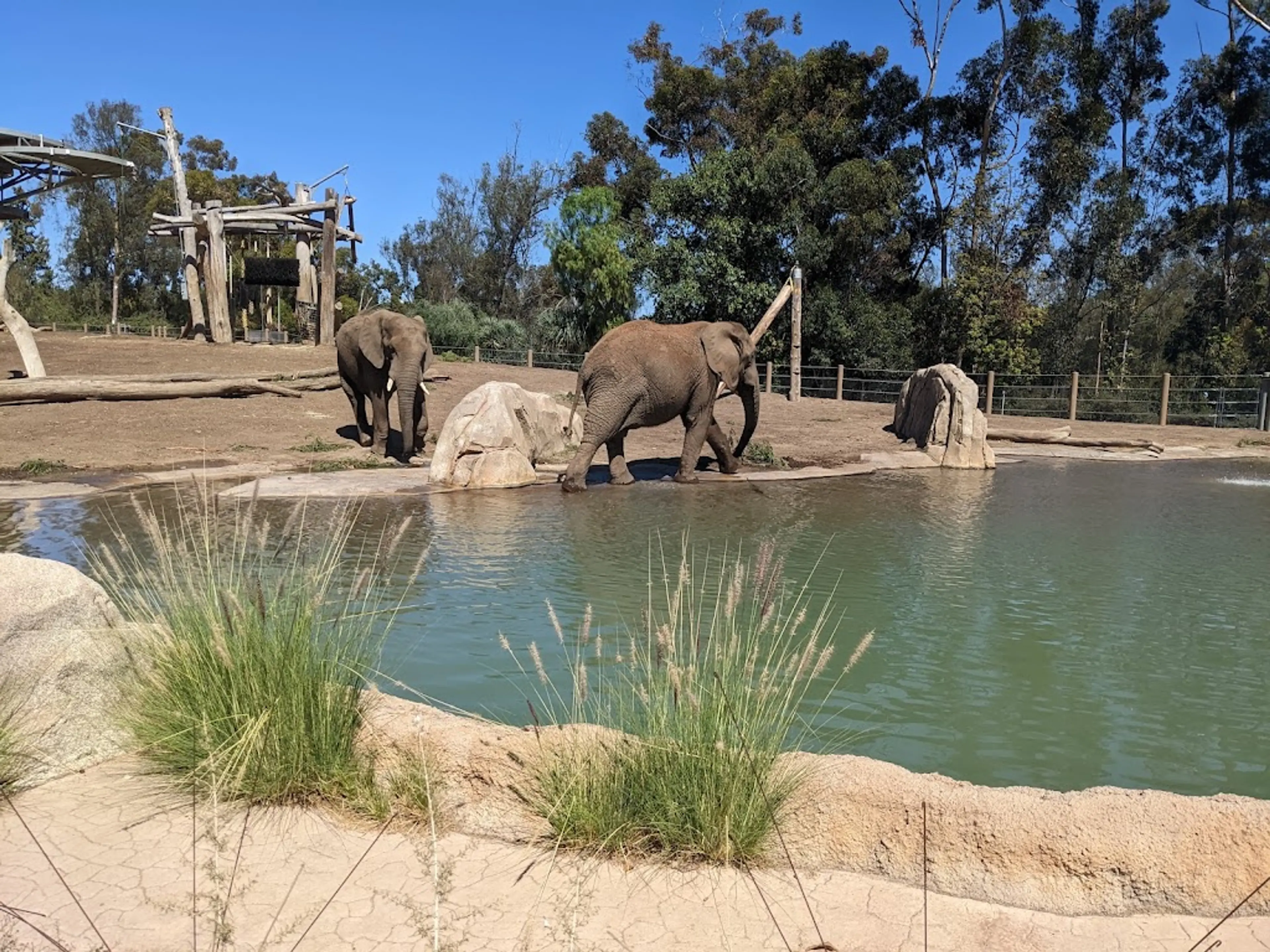 Zoo in Balboa Park