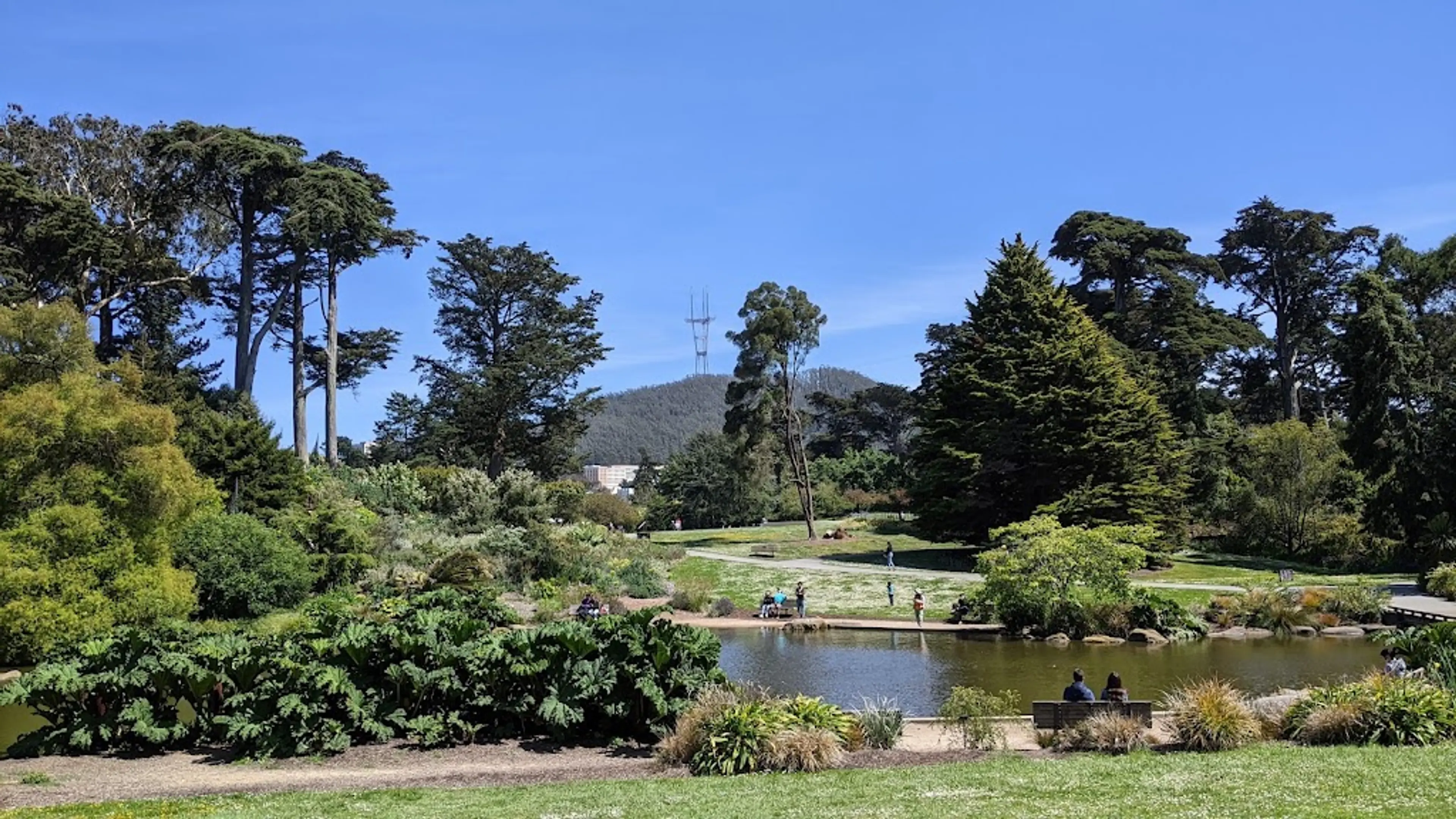 Botanical Garden