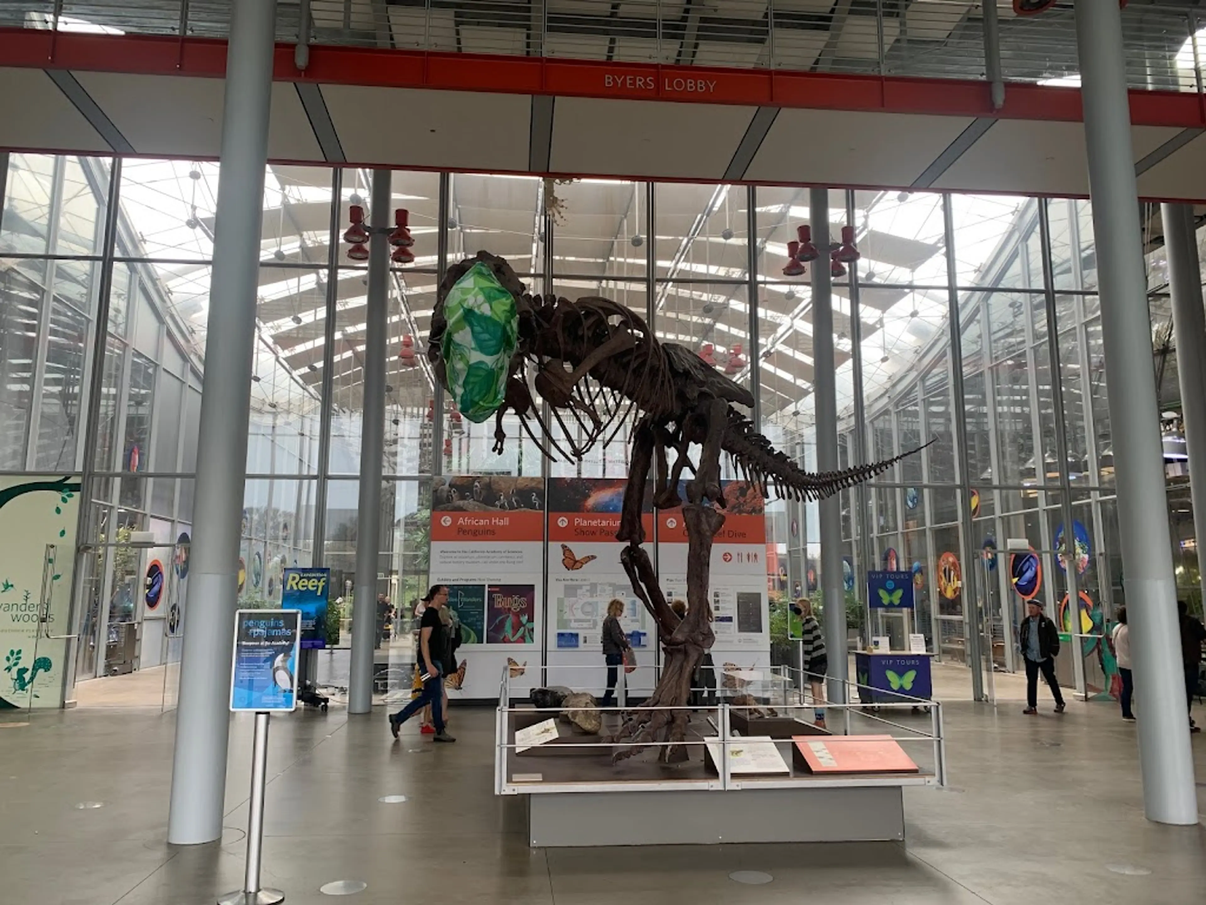 California Academy of Sciences