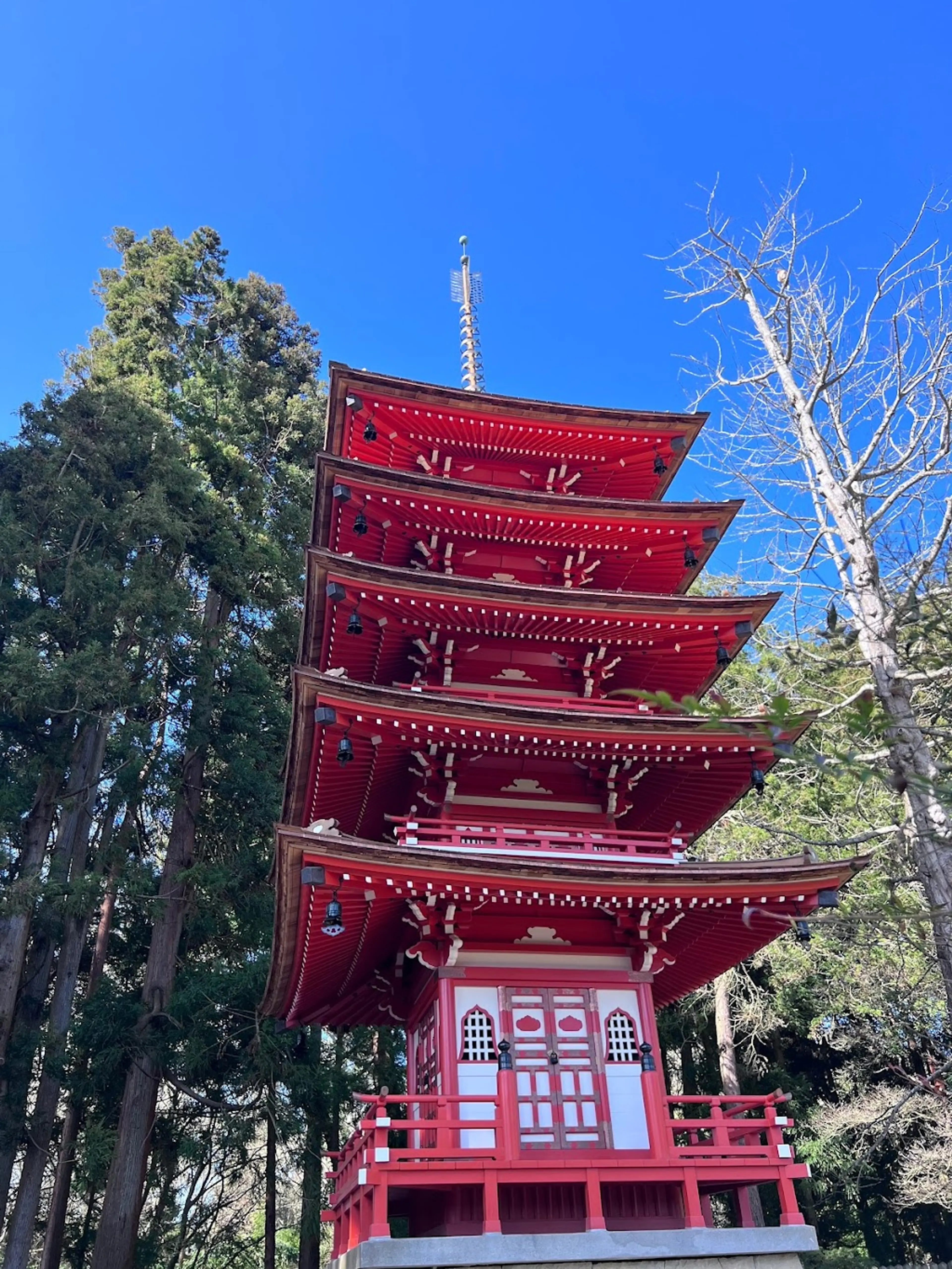 Japanese Tea Garden