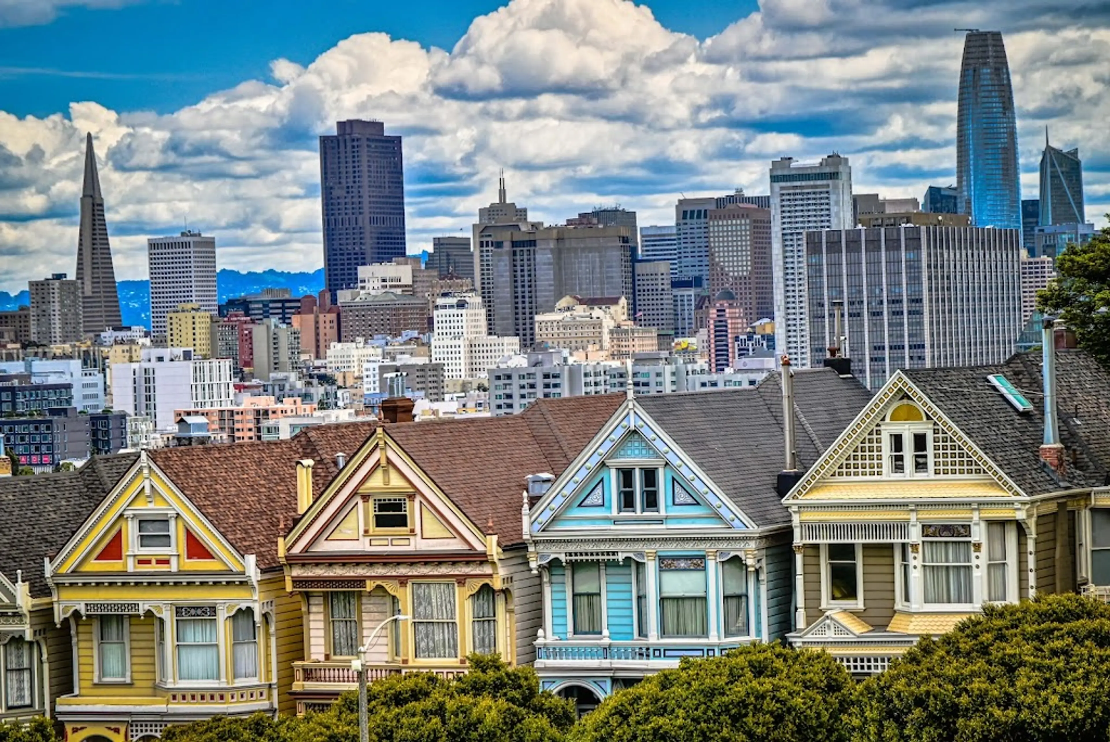 Painted Ladies