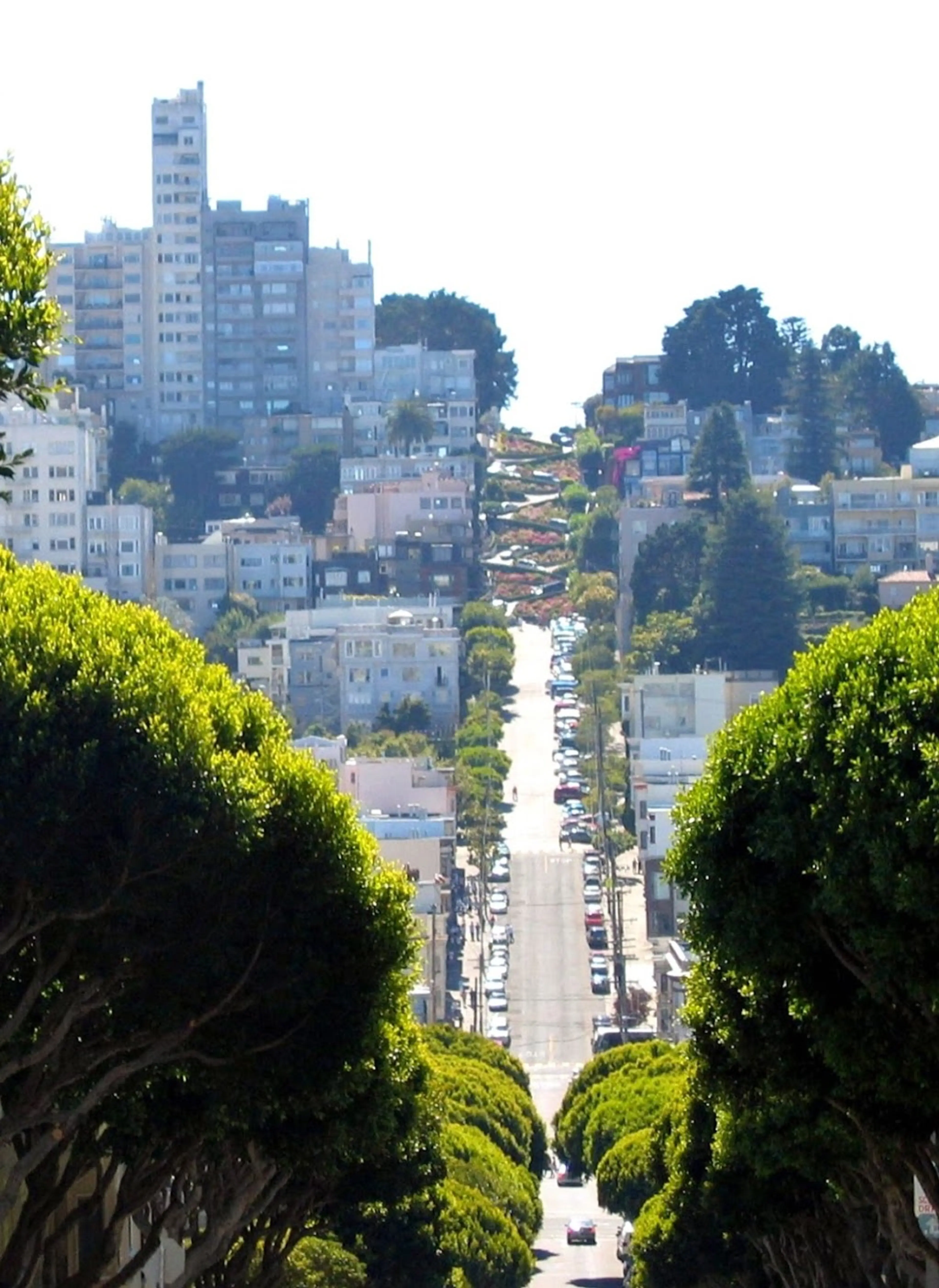 Telegraph Hill