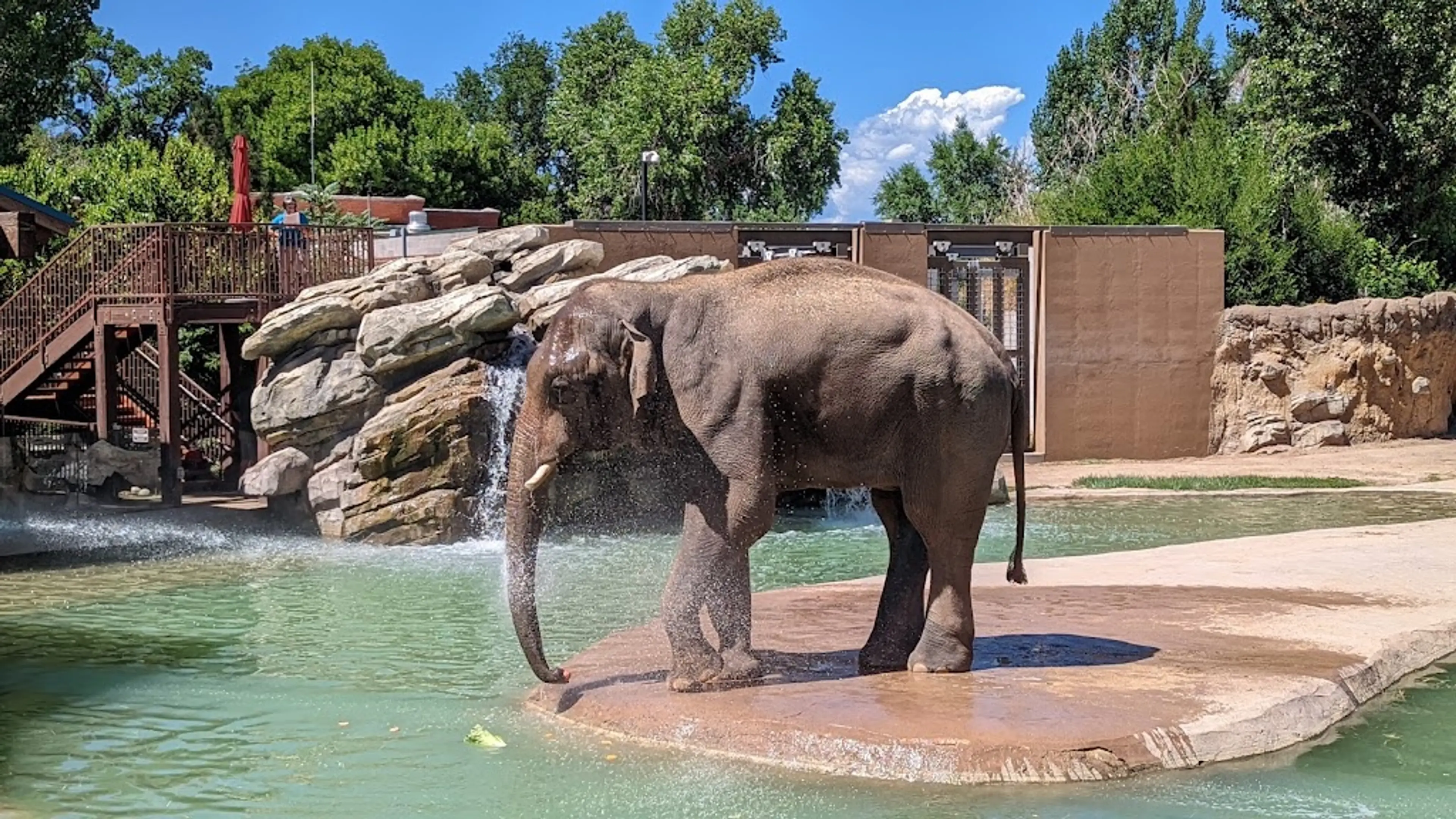 Denver Zoo