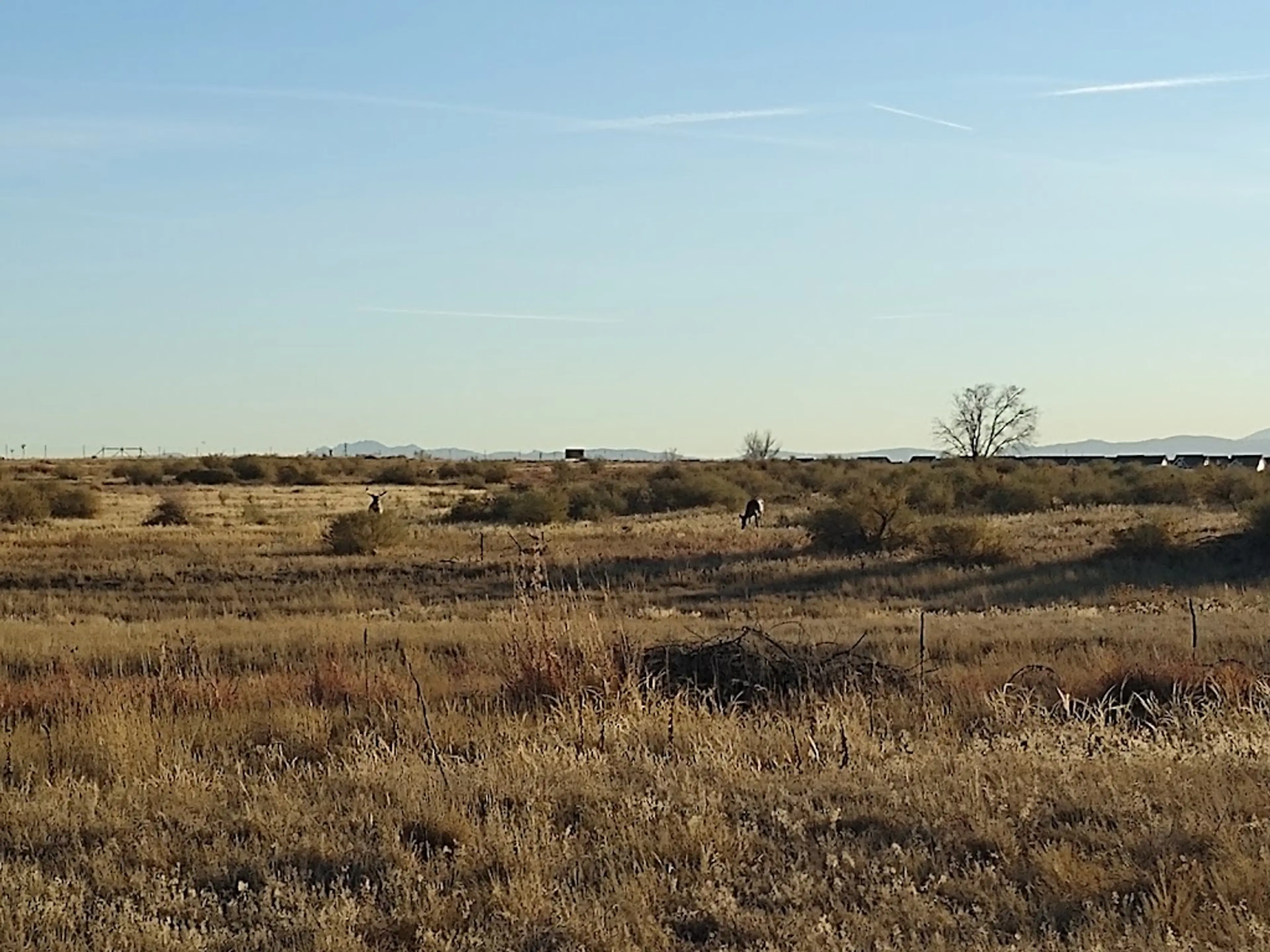 Rocky Mountain Arsenal National Wildlife Refuge