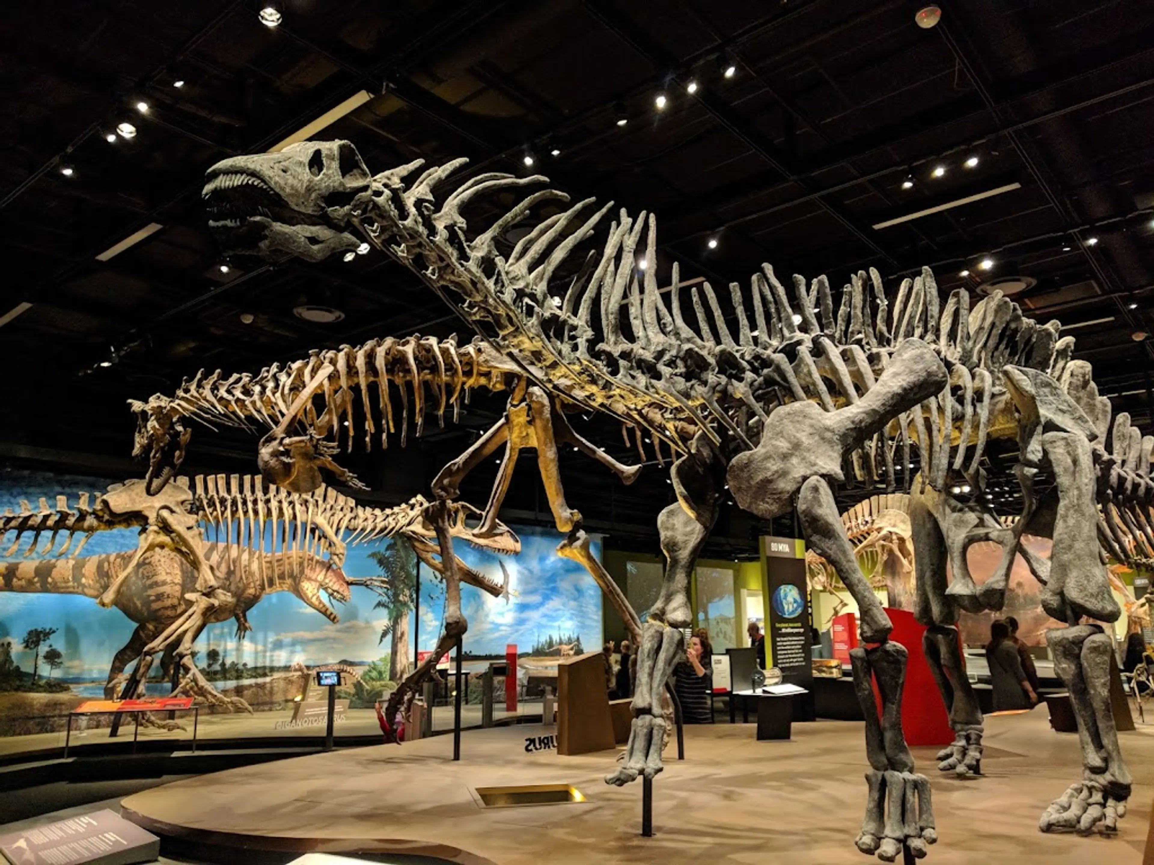 Science Museum