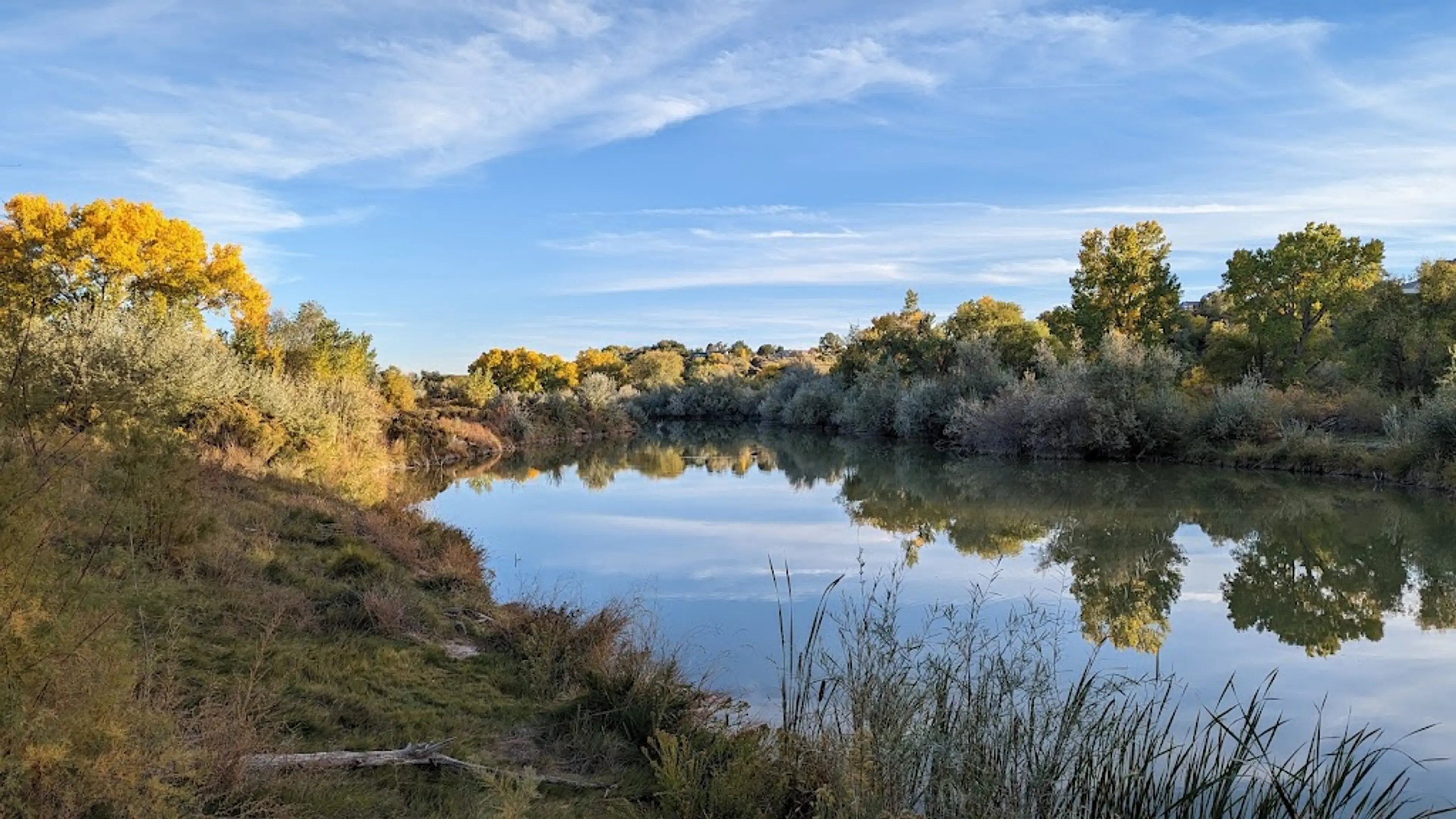Colorado River State Park