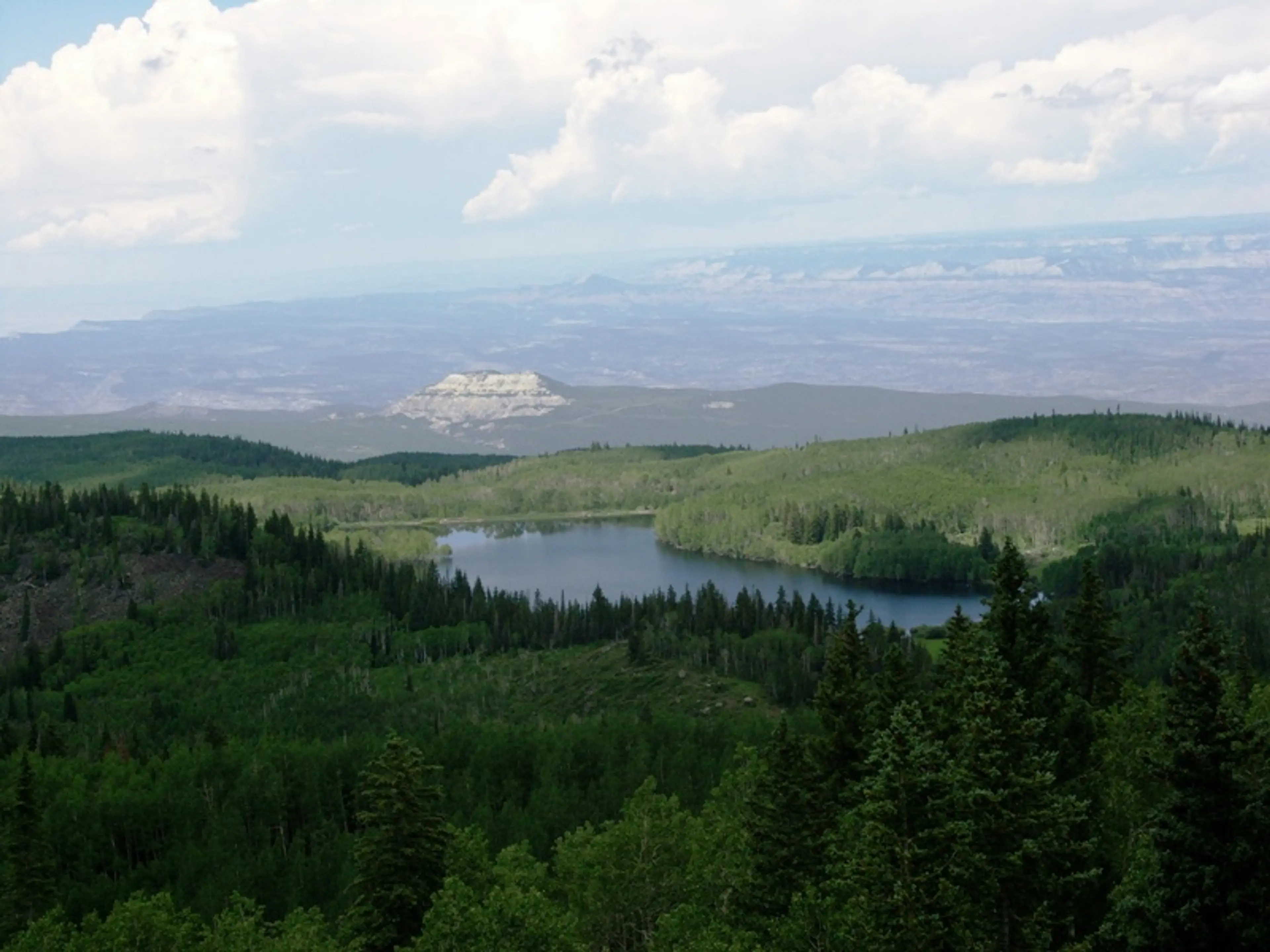 Grand Mesa National Forest