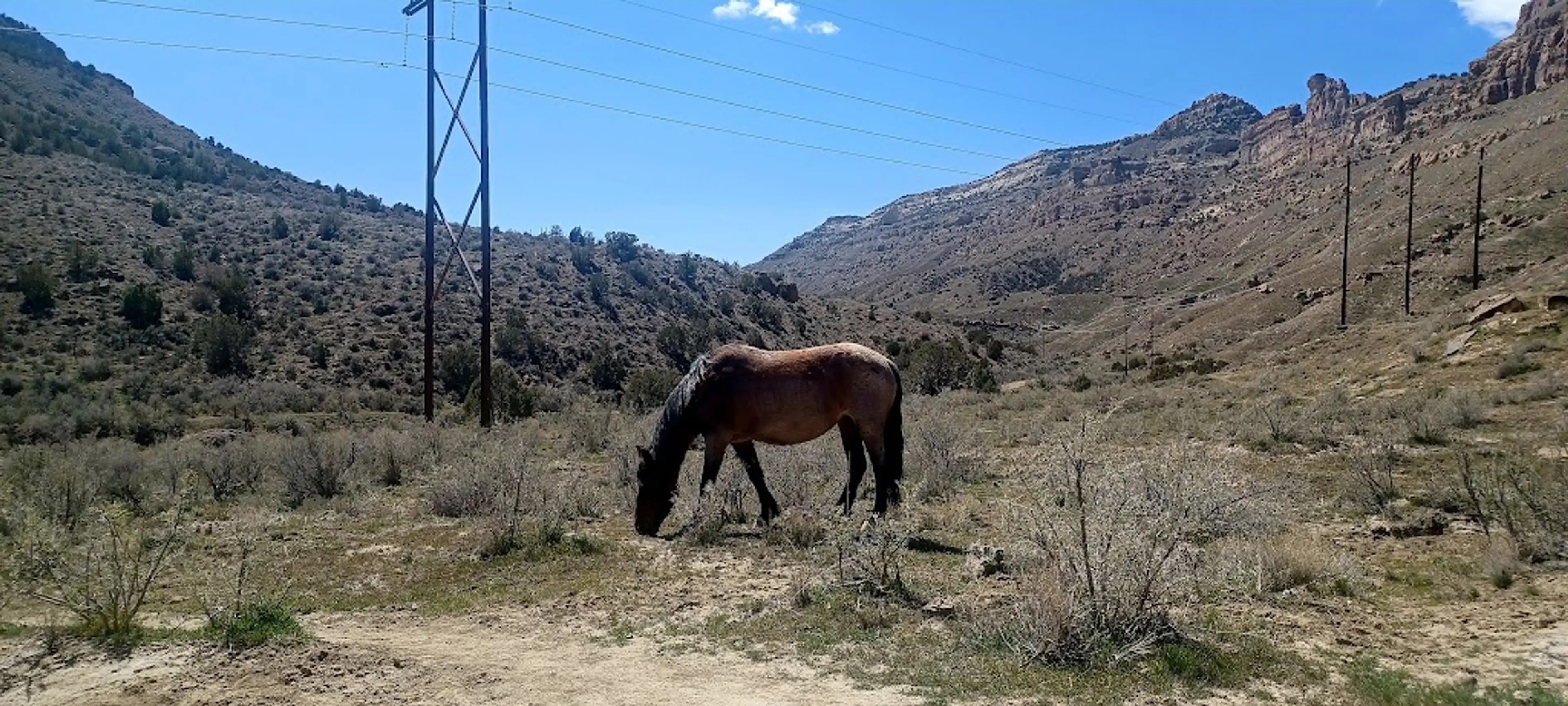 Little Book Cliffs Wild Horse Area