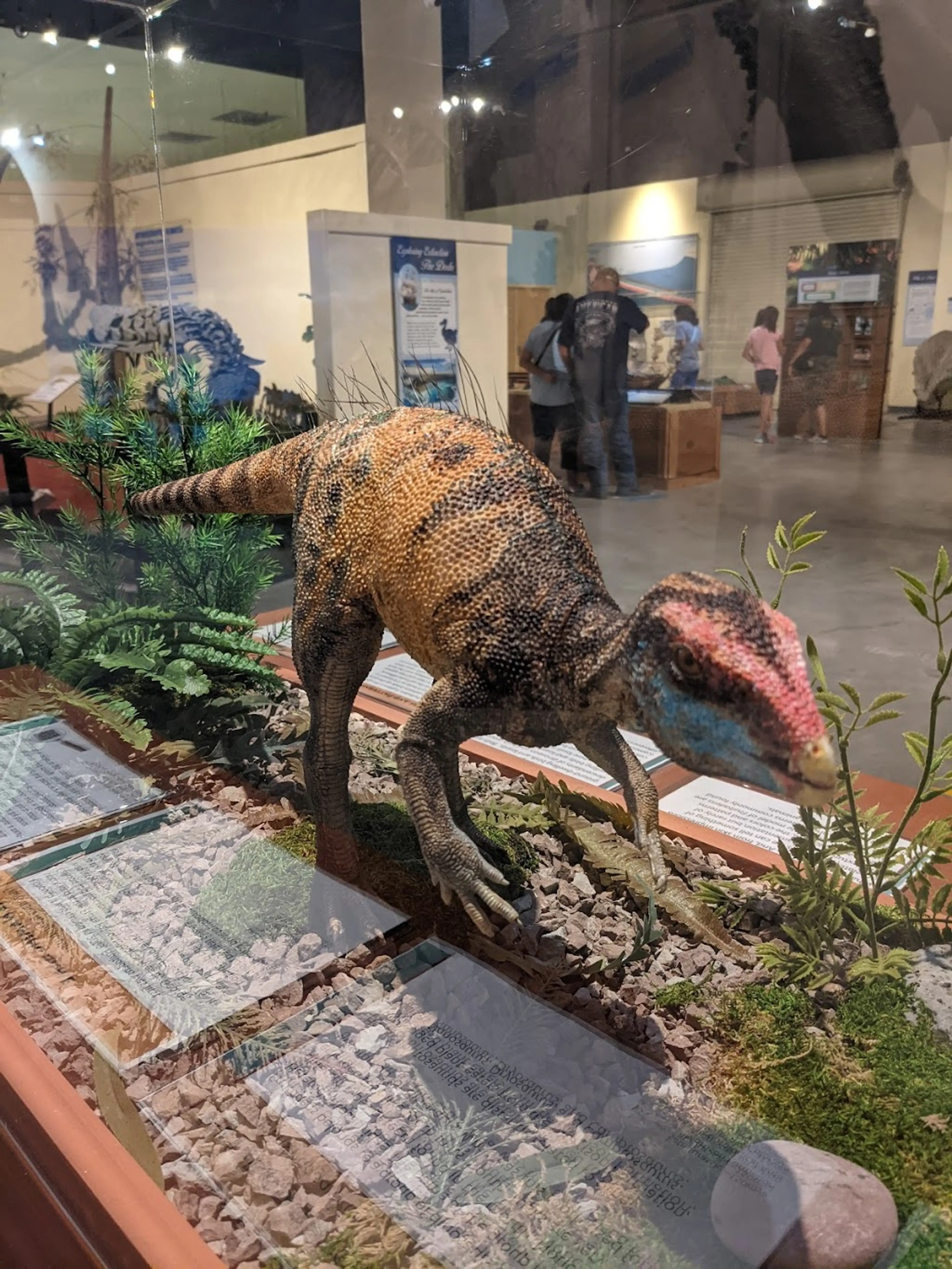 Museum of Western Colorado's Dinosaur Journey