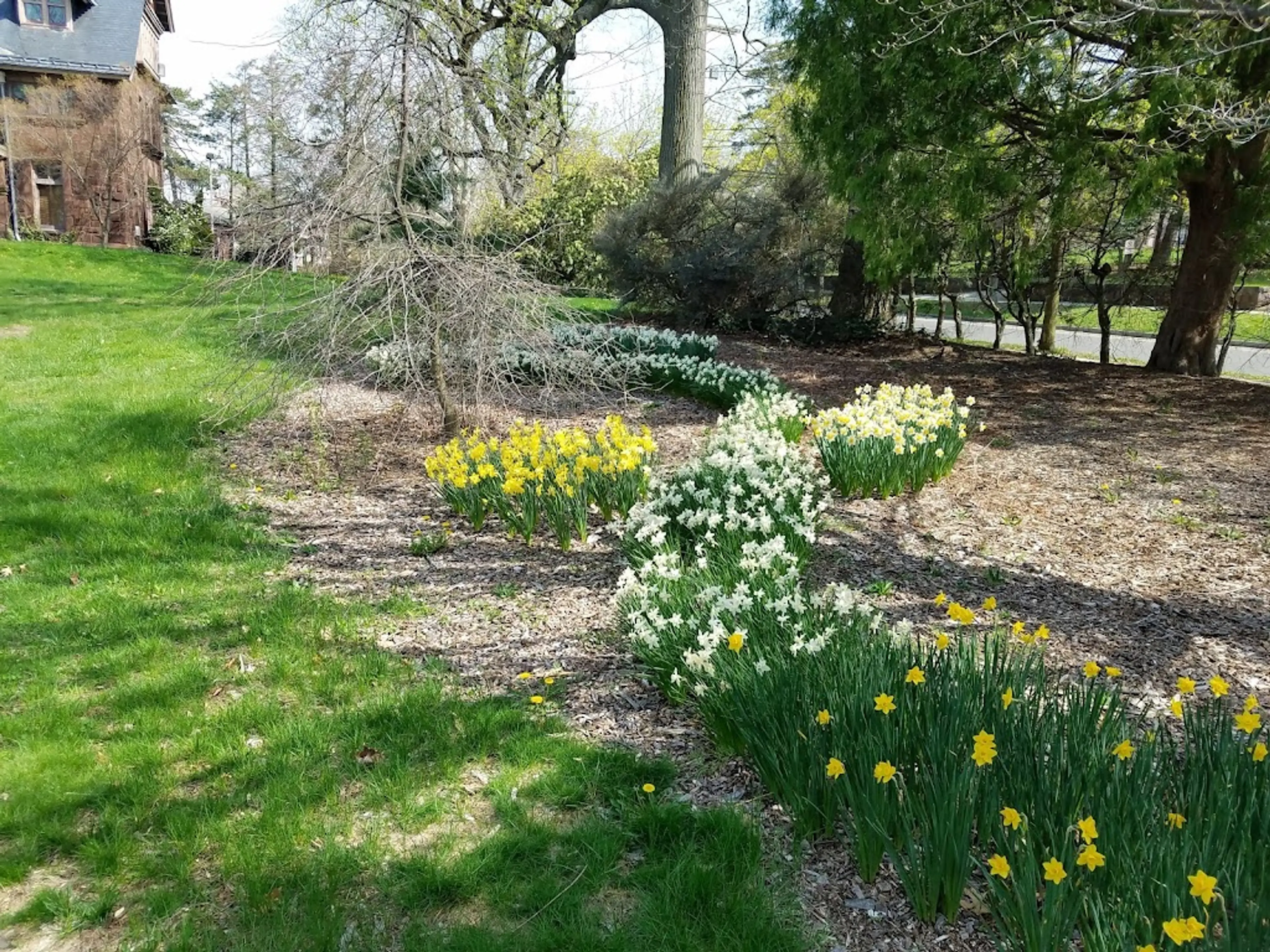 Botanical Garden