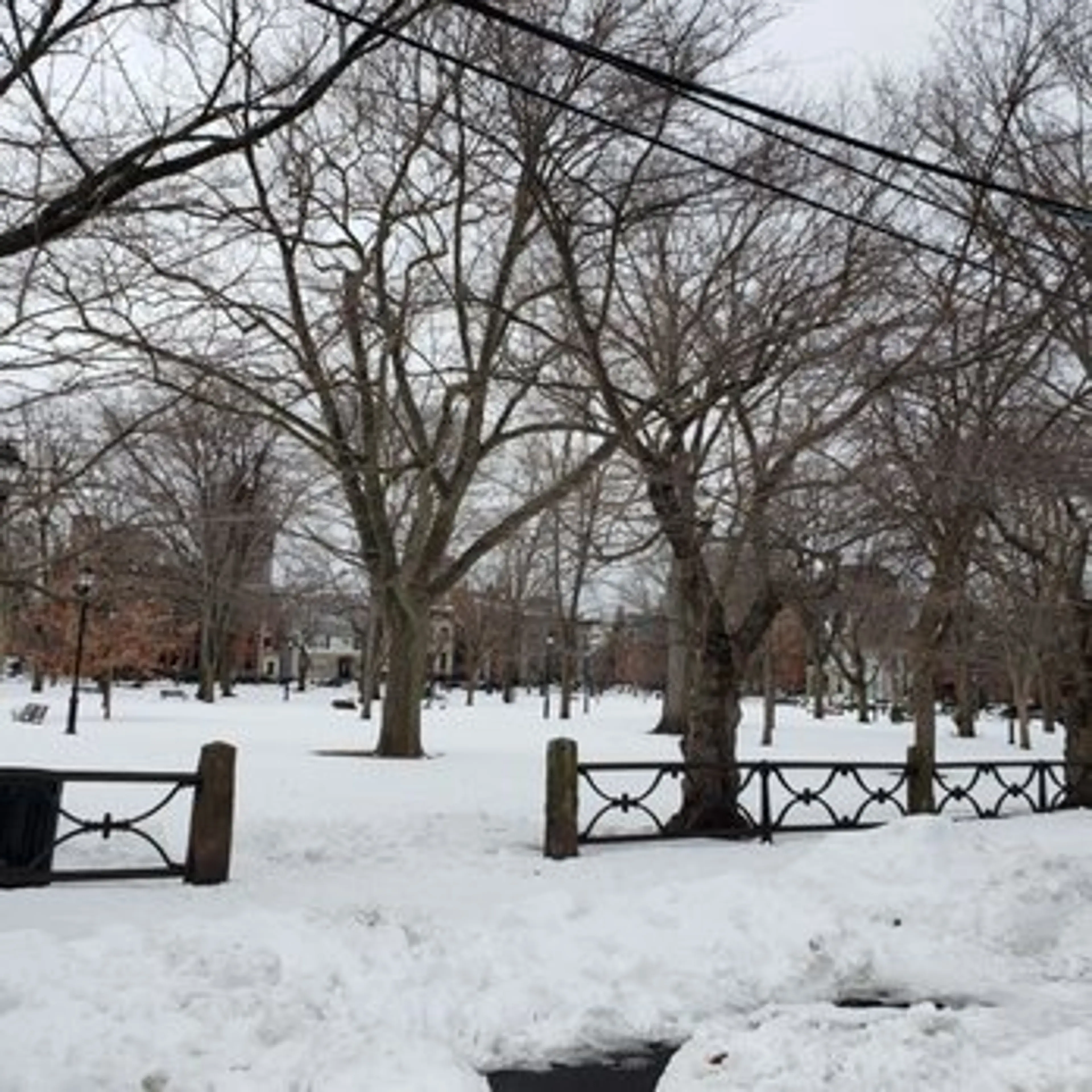 Wooster Square Park