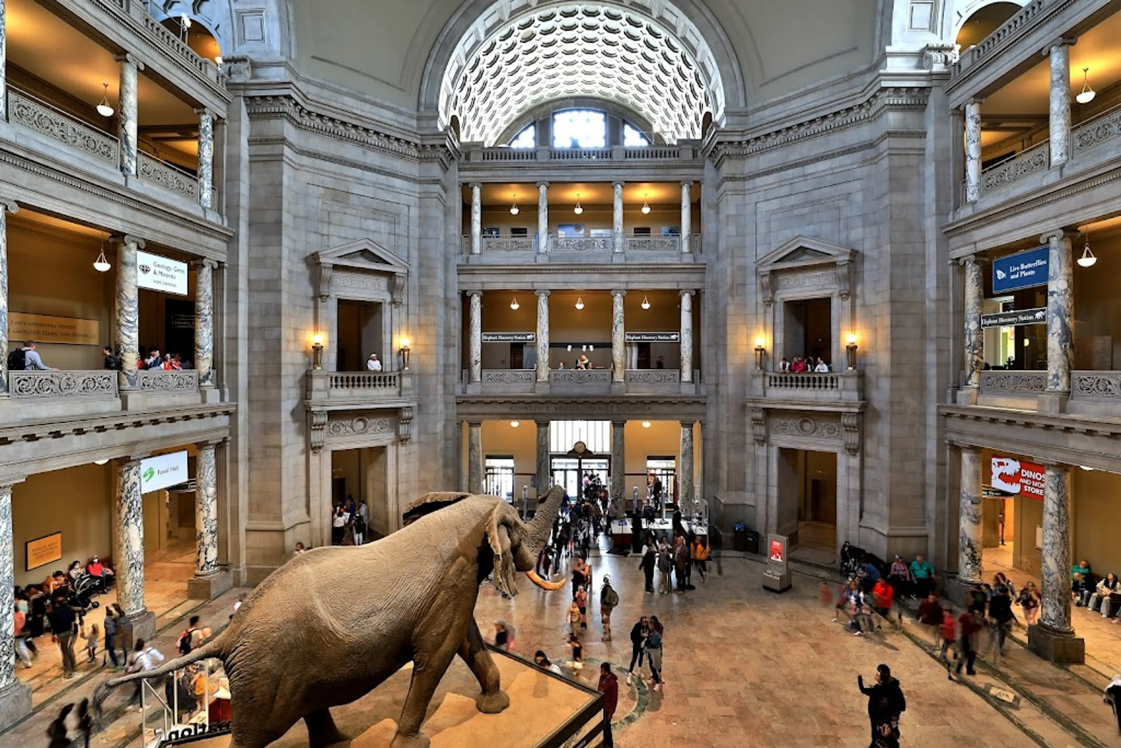 National Museum of Natural History
