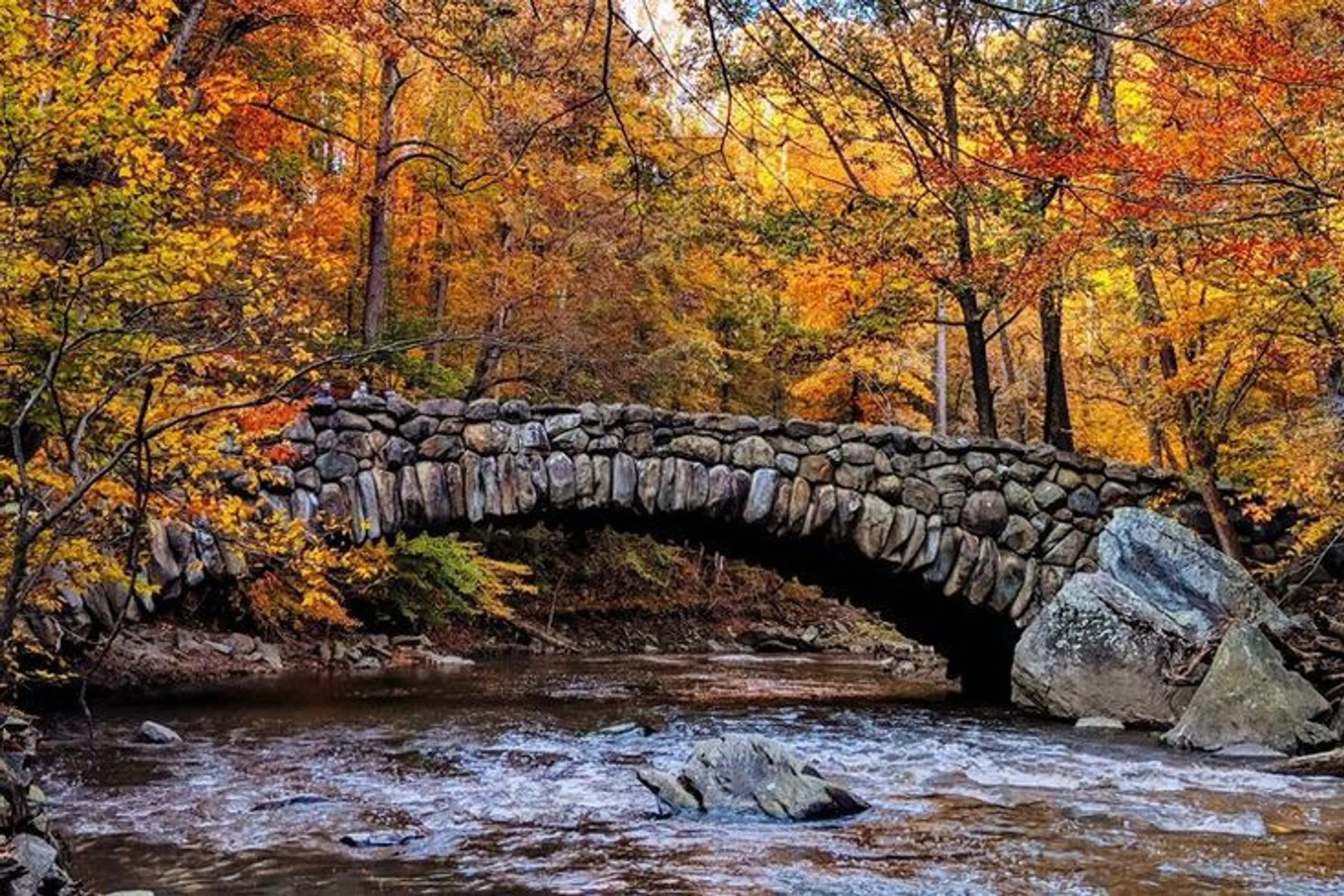 Rock Creek Park