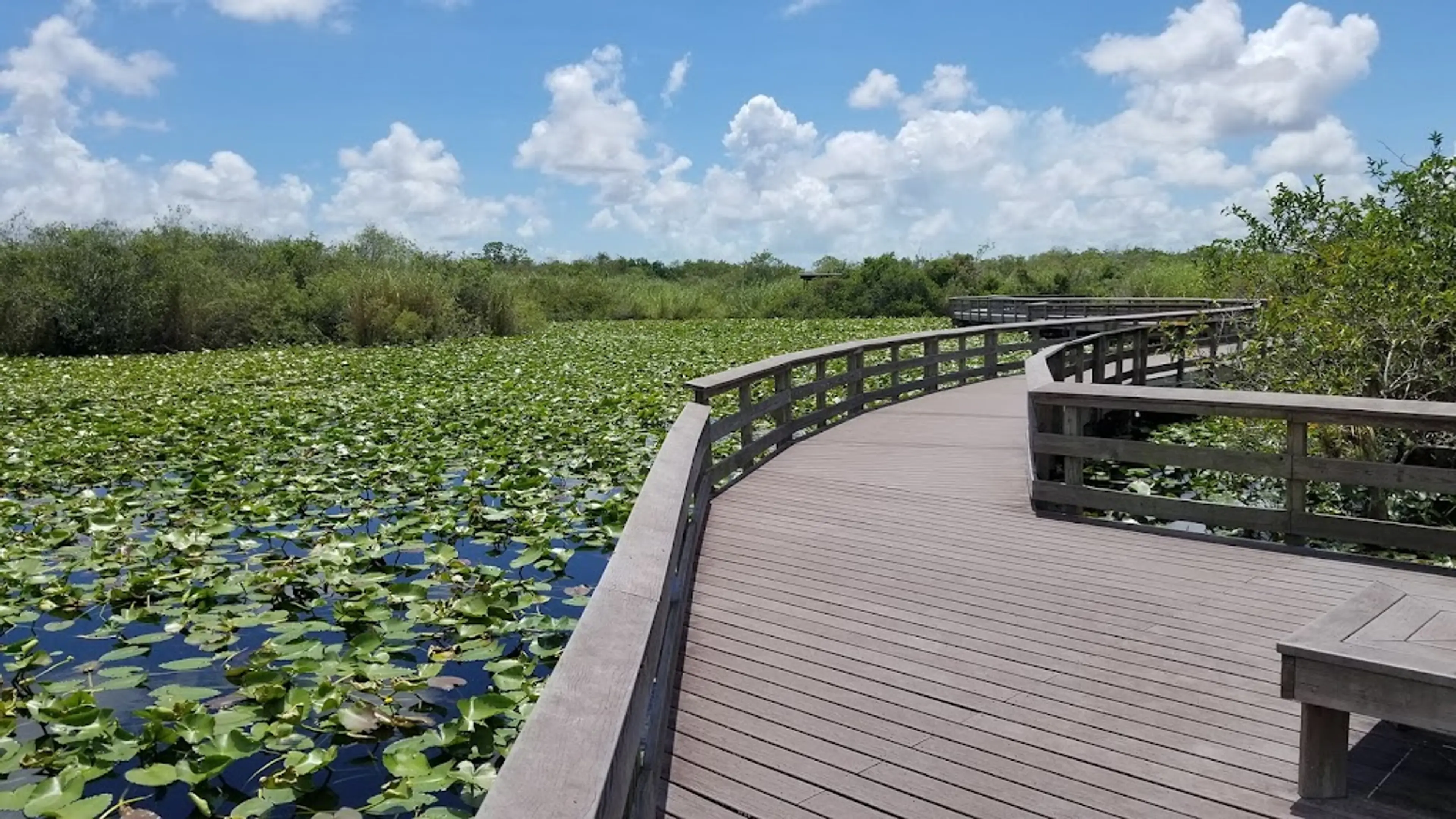 Everglades National Park