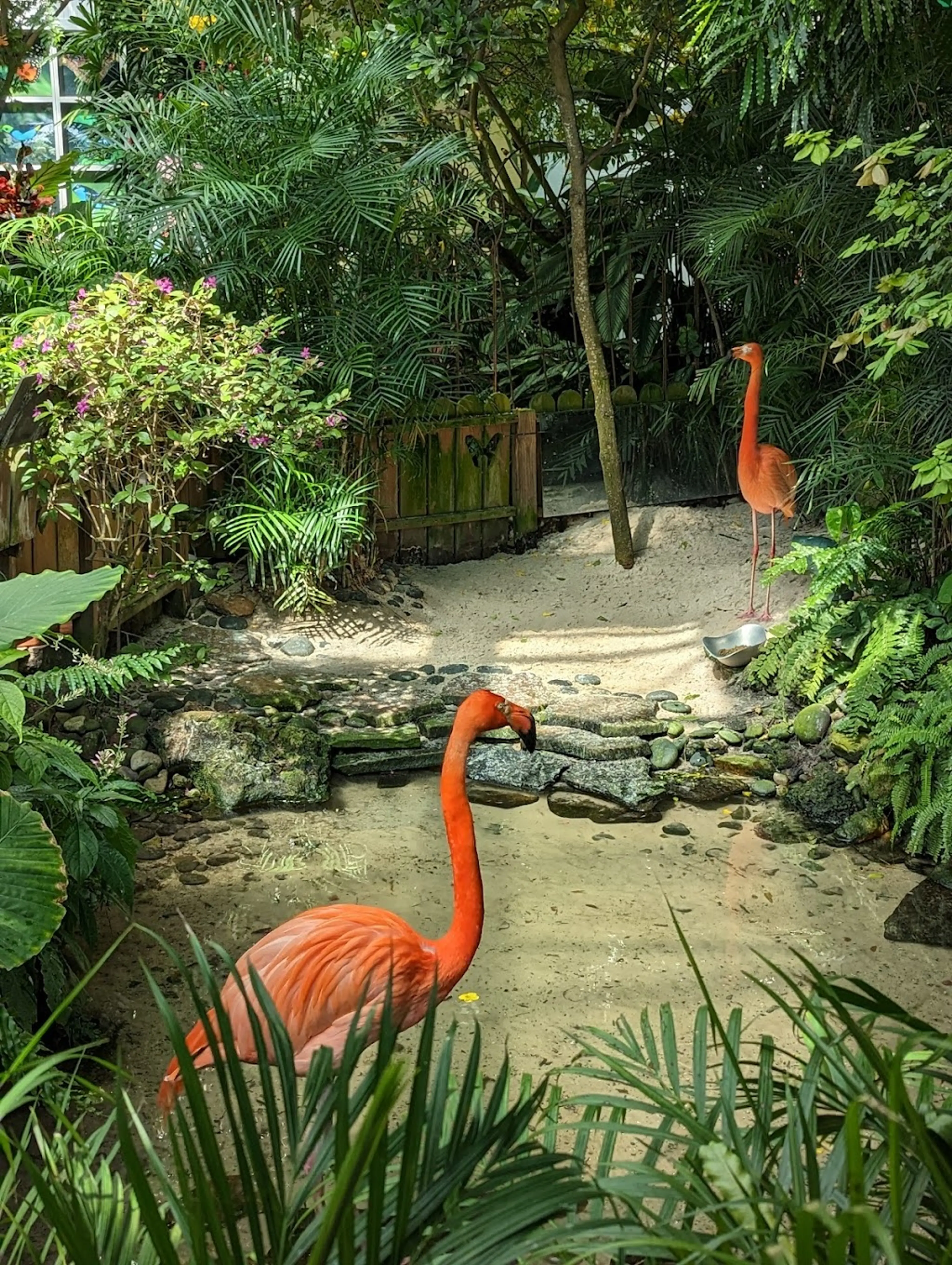 Key West Butterfly and Nature Conservatory