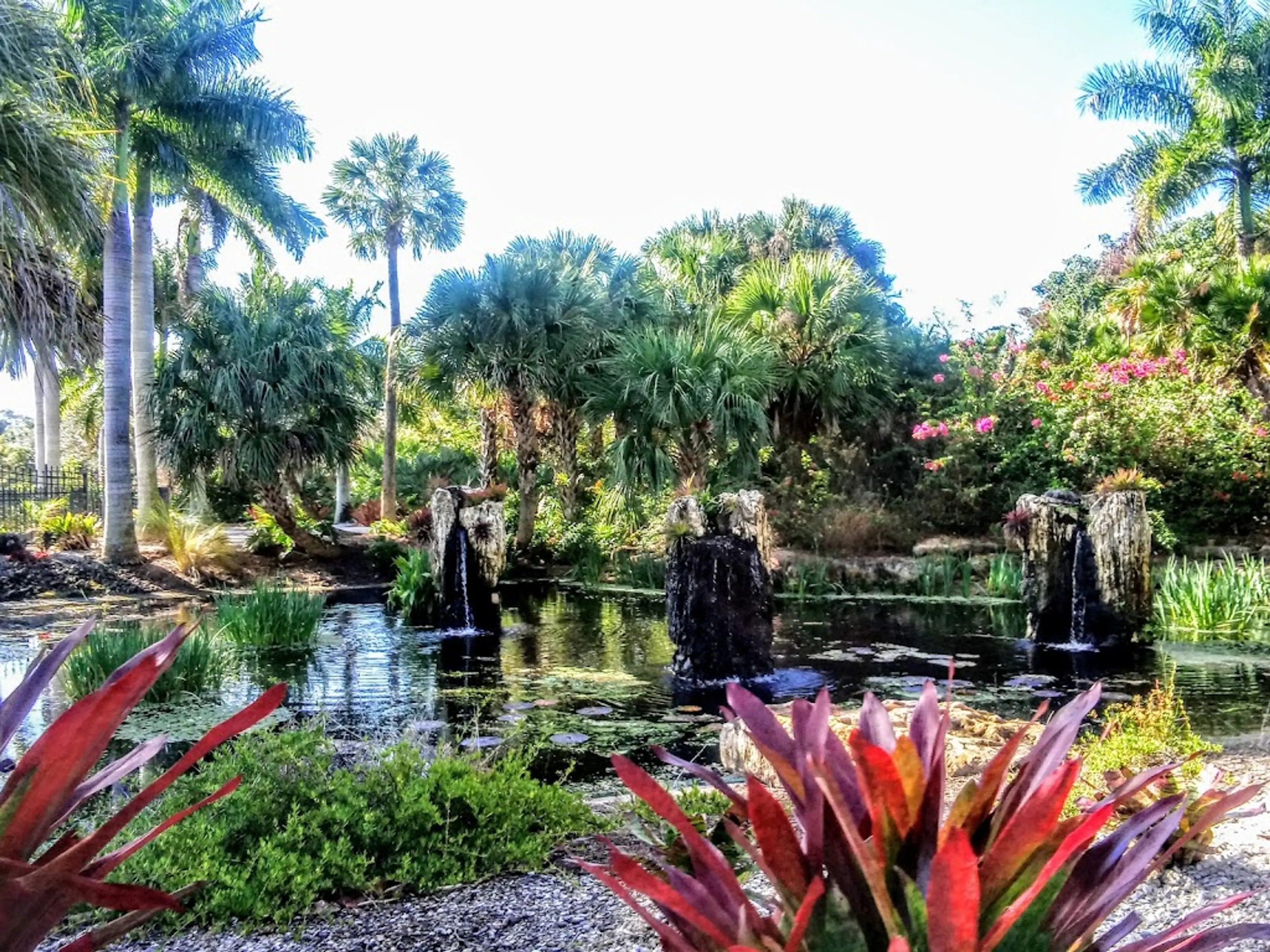 Naples Botanical Garden