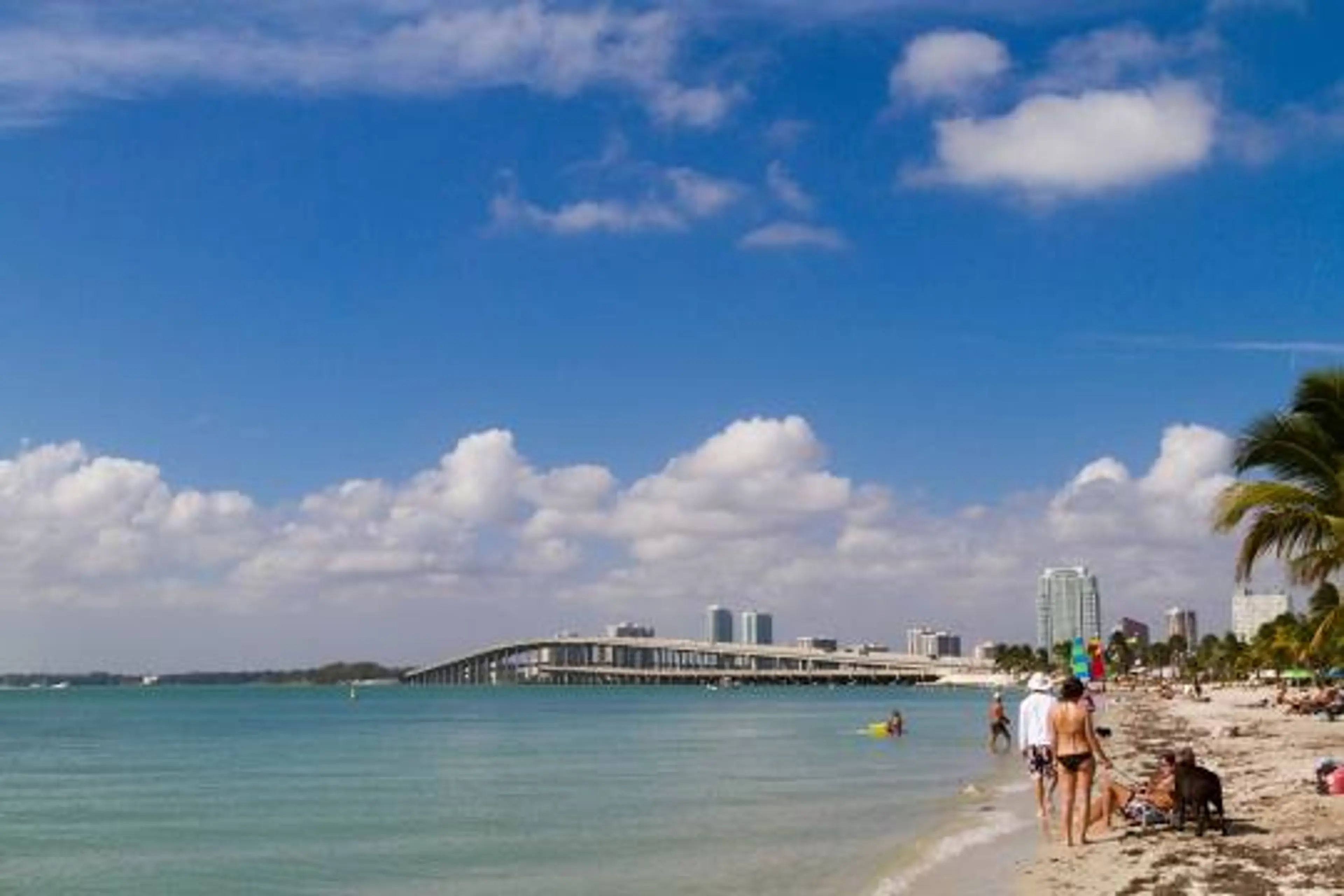 Beach in Key Biscayne