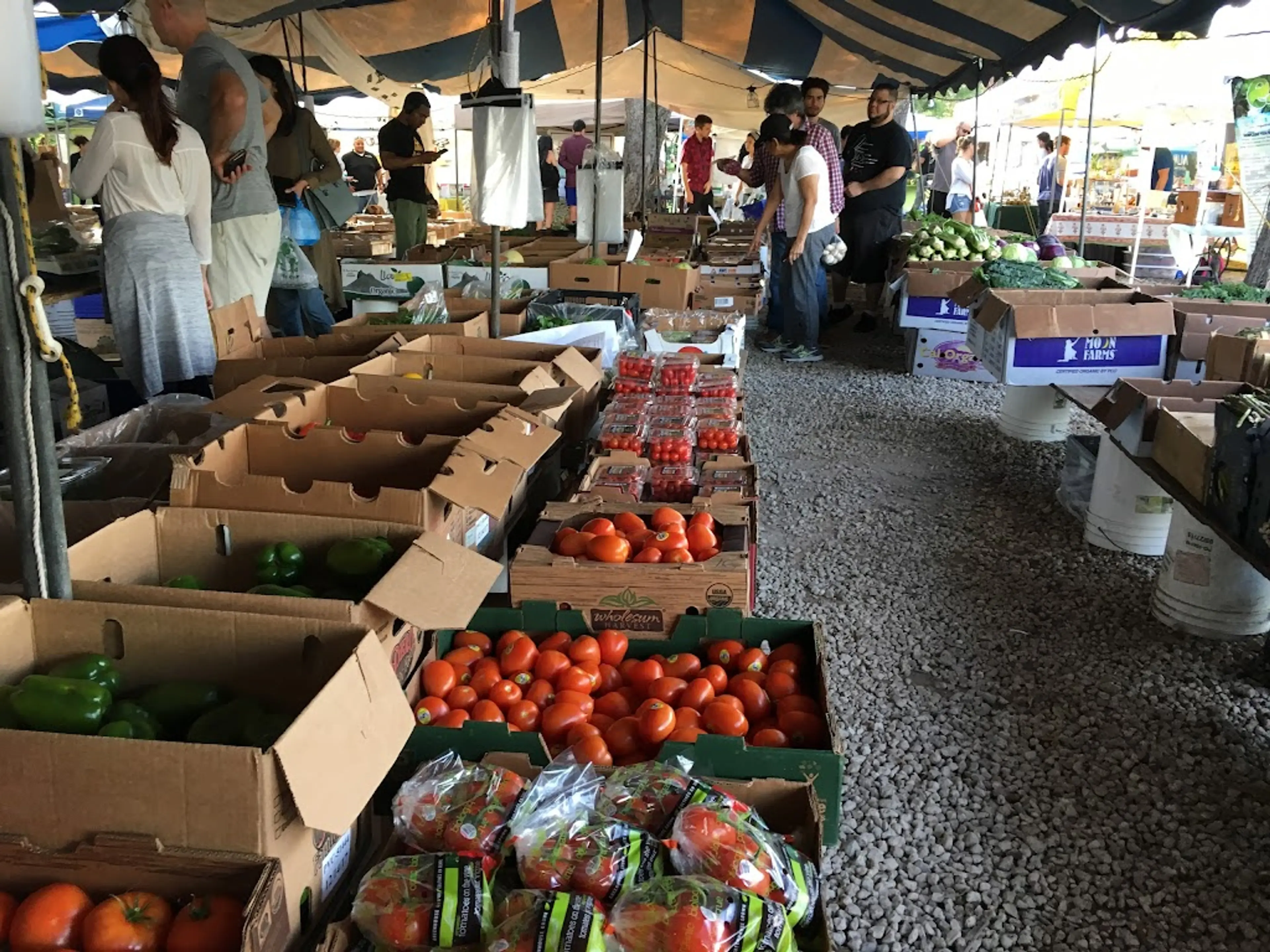 Farmers Market in Coconut Grove