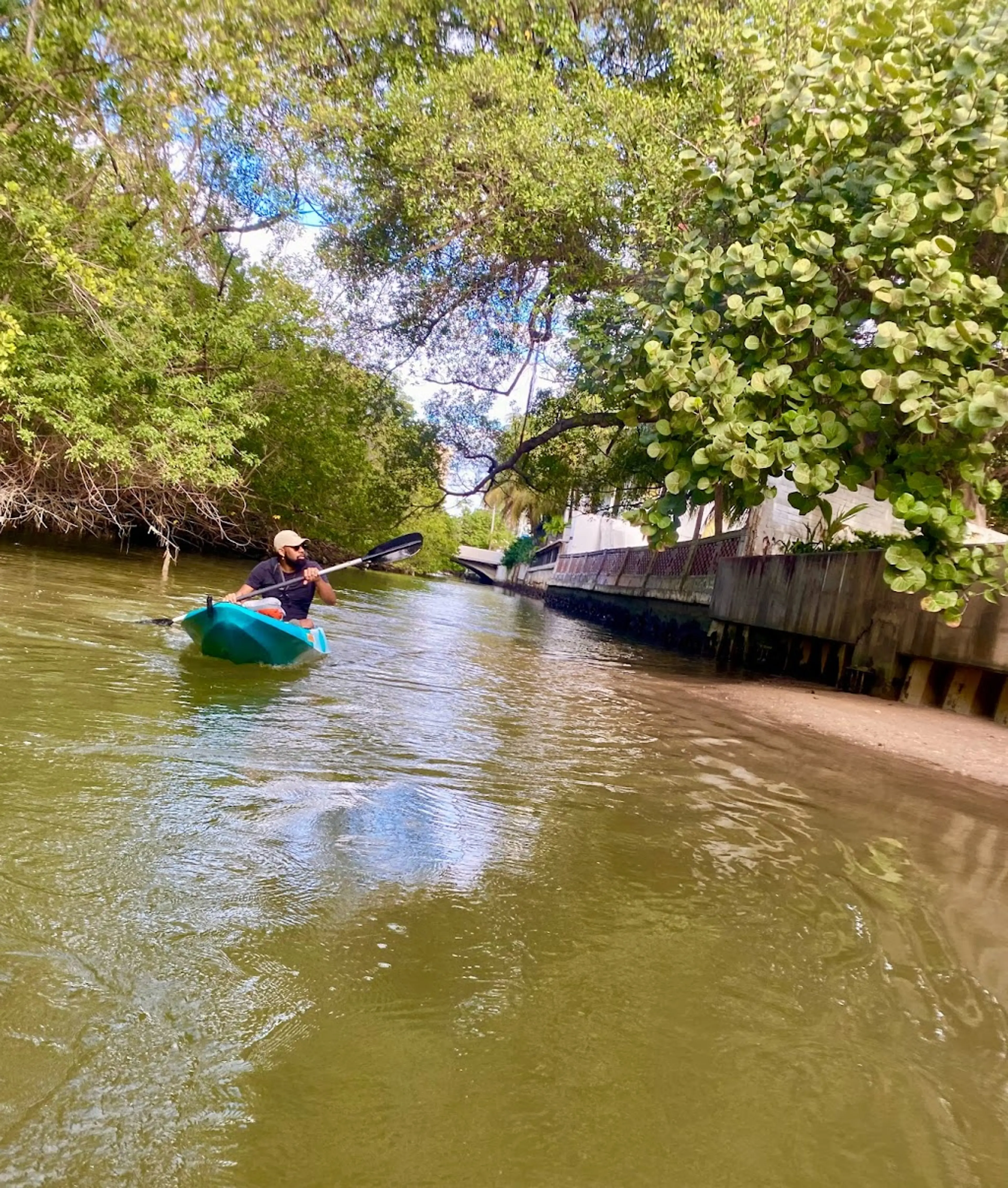 Kayak tour of Mangrove Forests