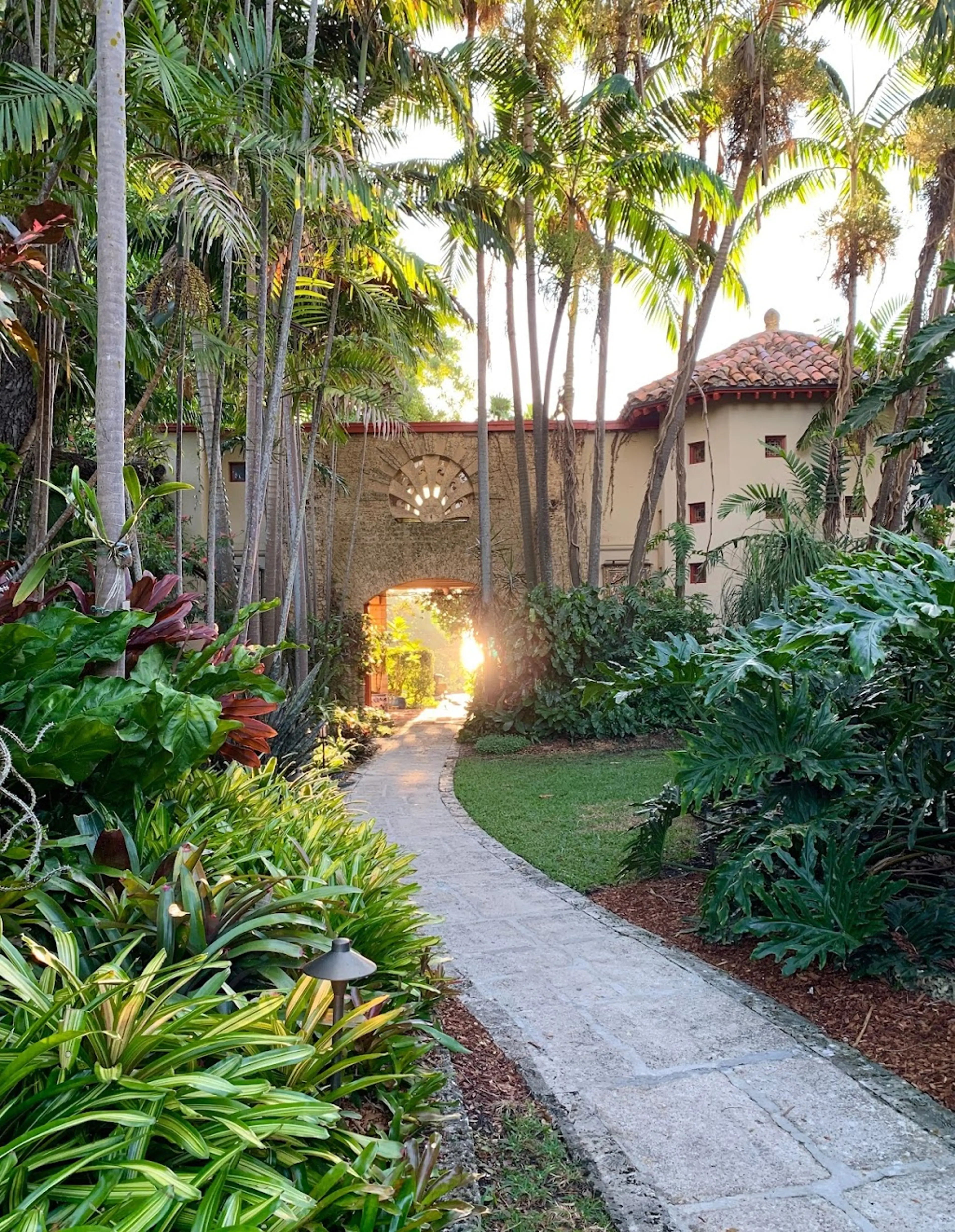 Tropical Garden