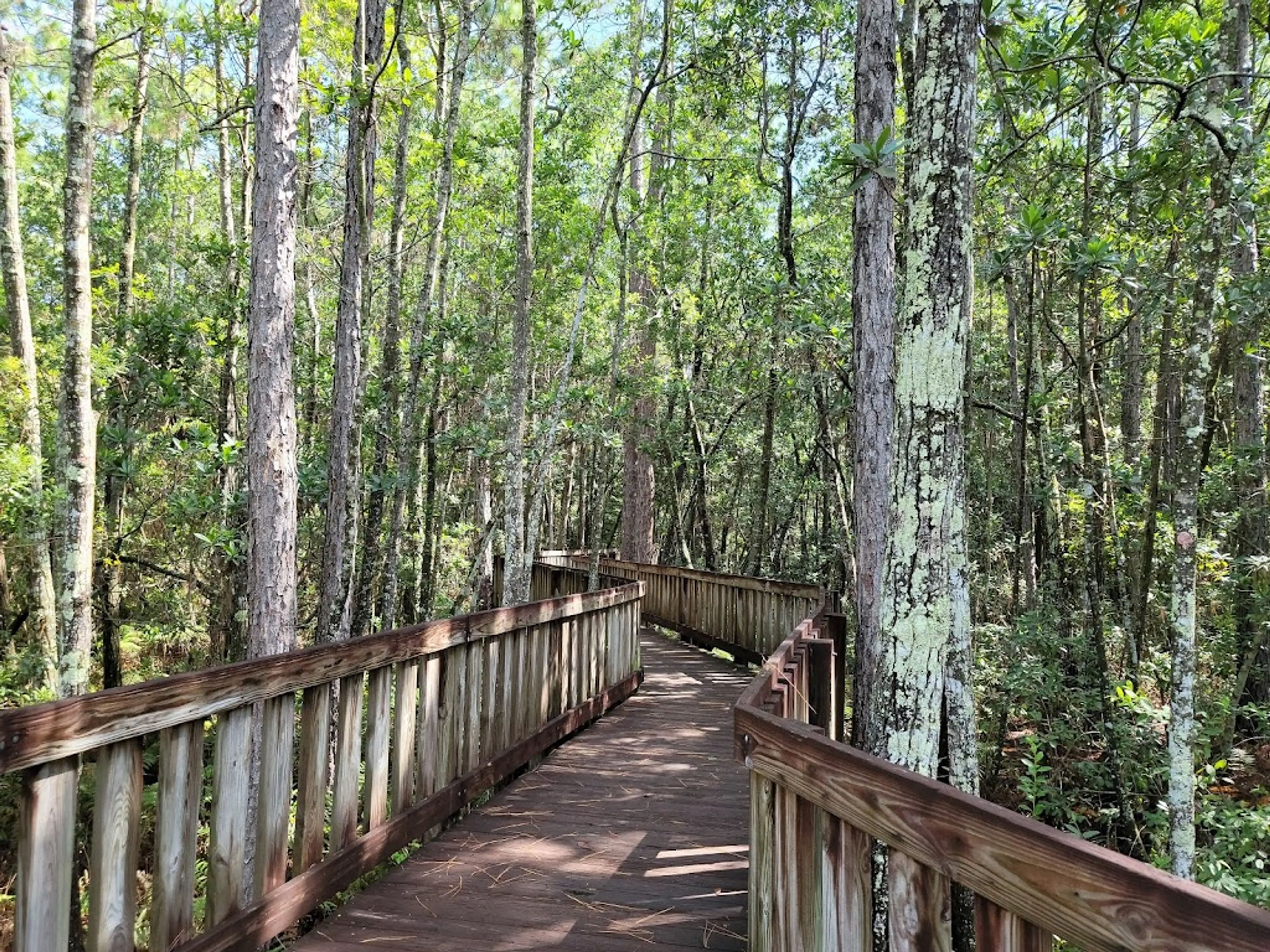 Nature Reserve