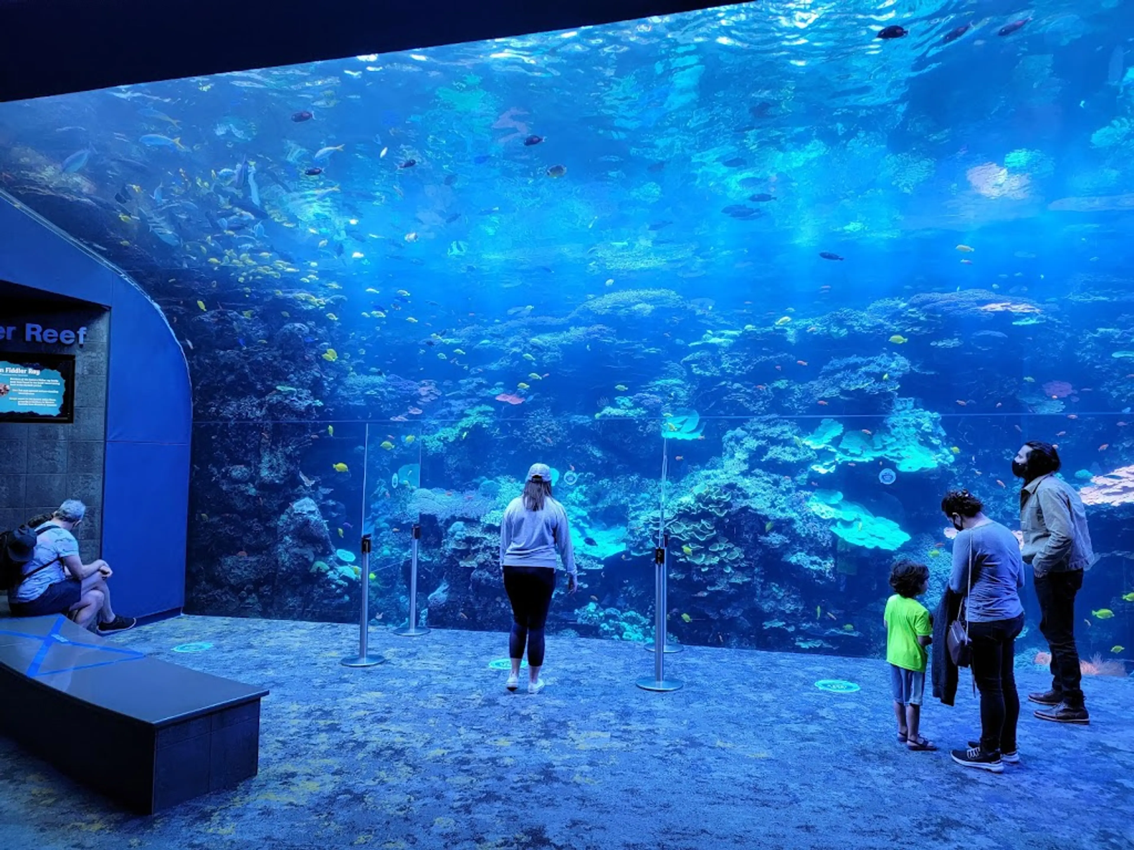 World's largest aquarium
