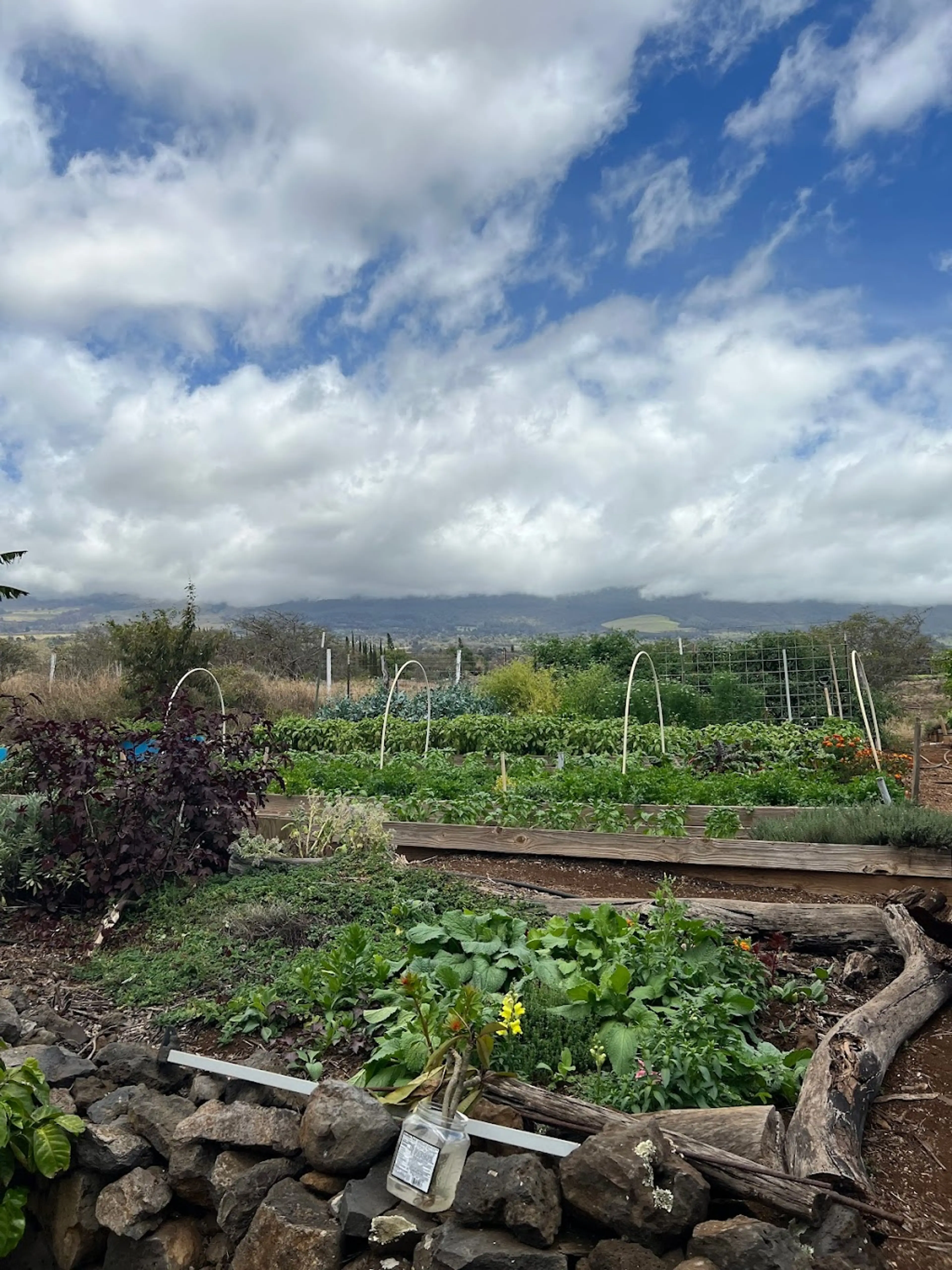 Coffee plantation tour