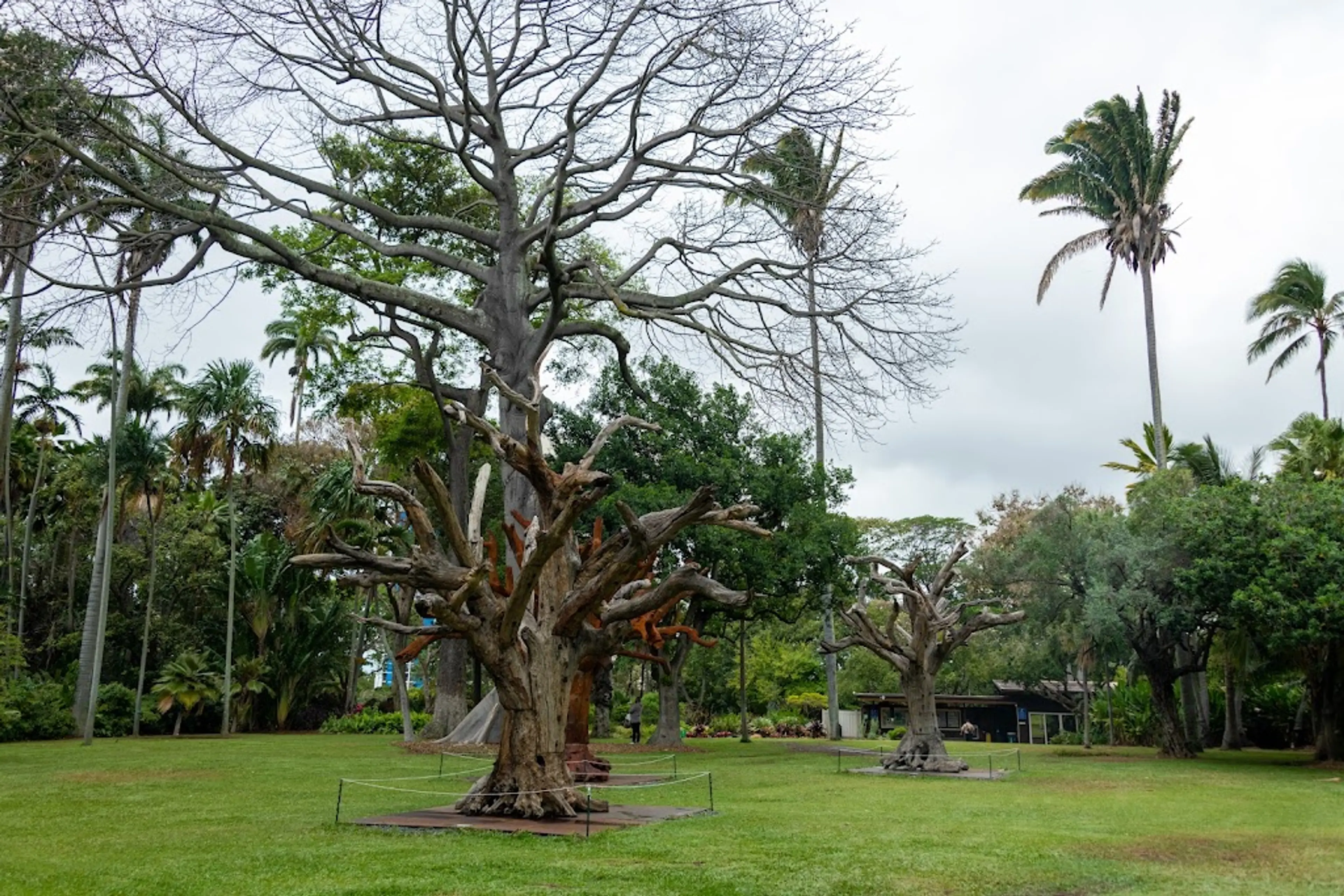Foster Botanical Garden