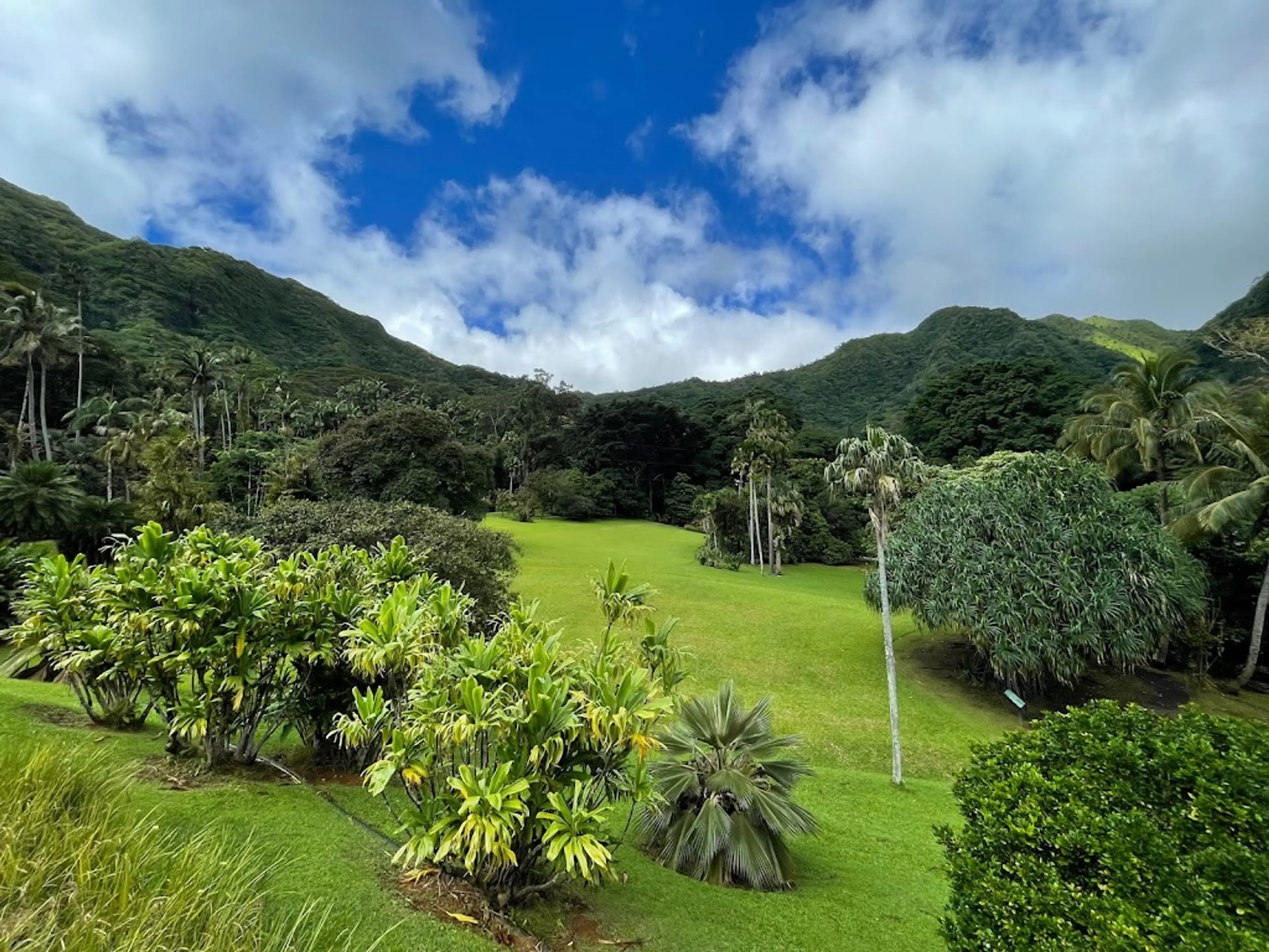 Manoa botanical garden