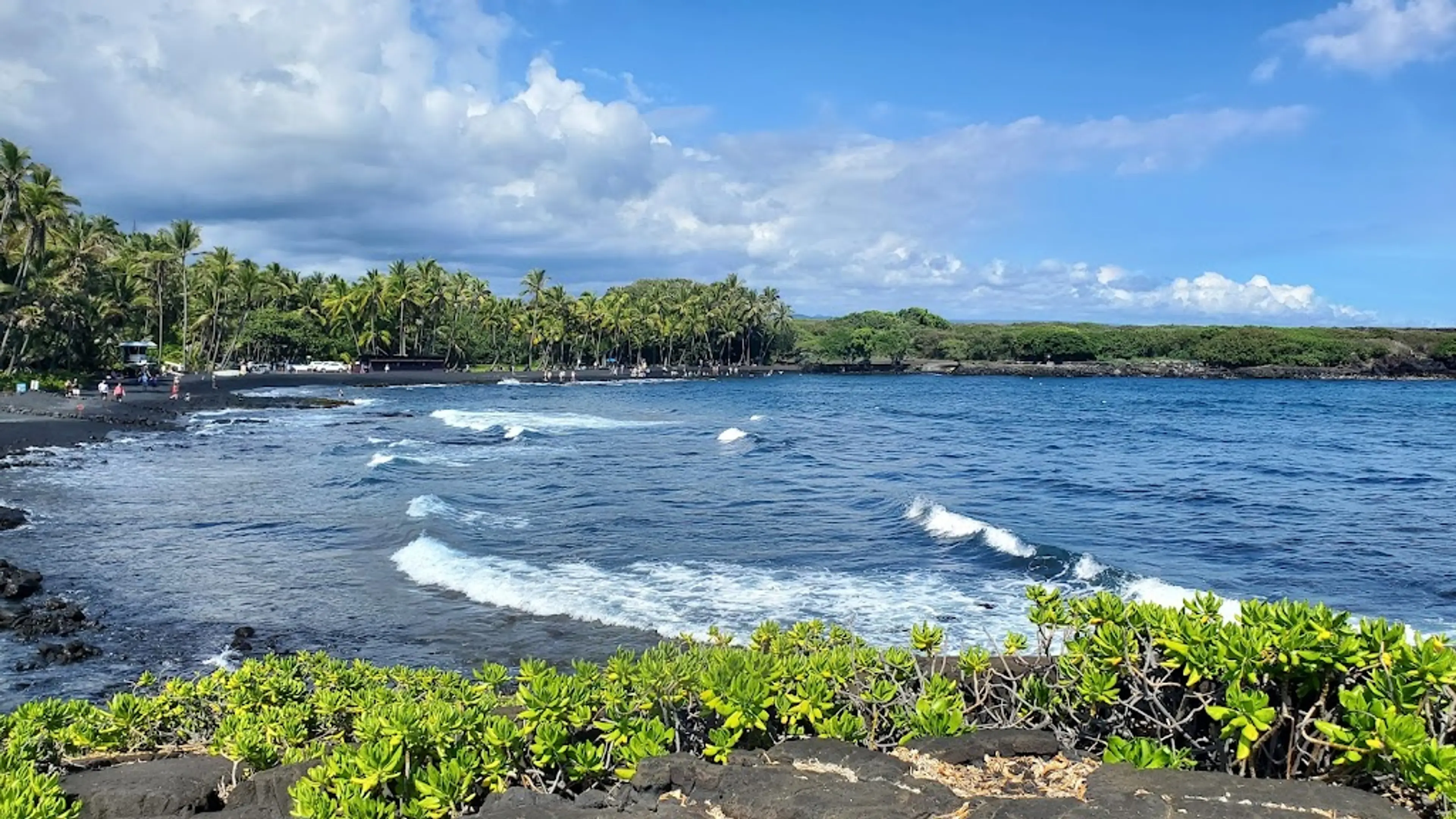 Punalu'u Black Sand Beach