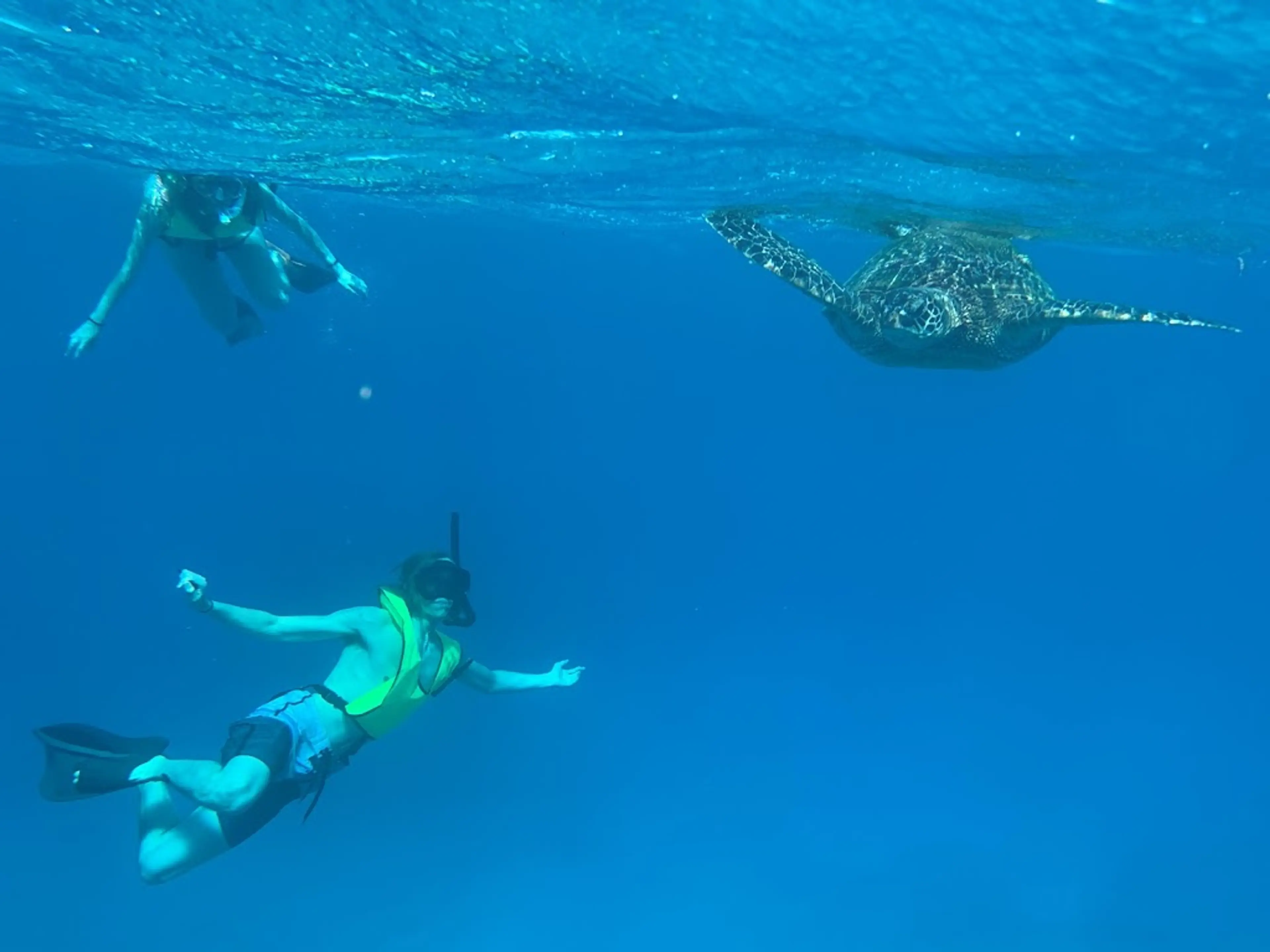 Snorkeling