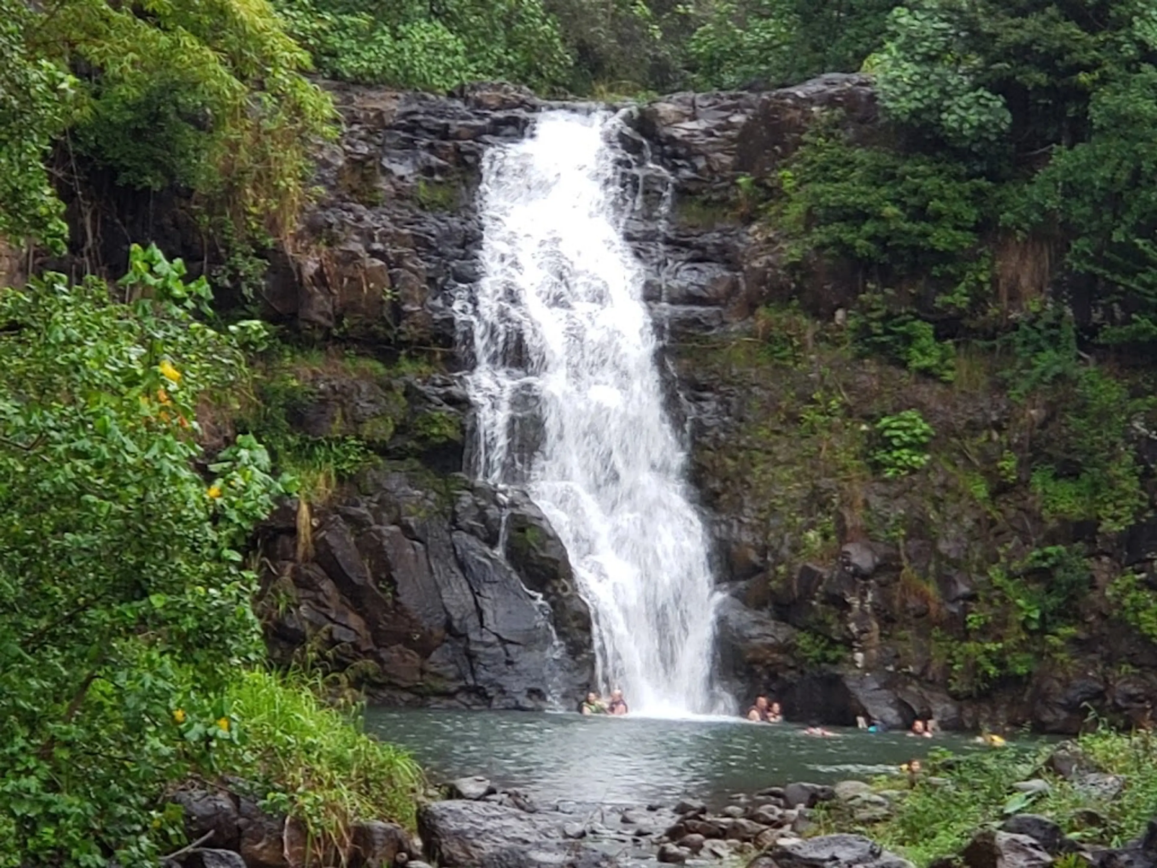 Waimea Valley waterfall