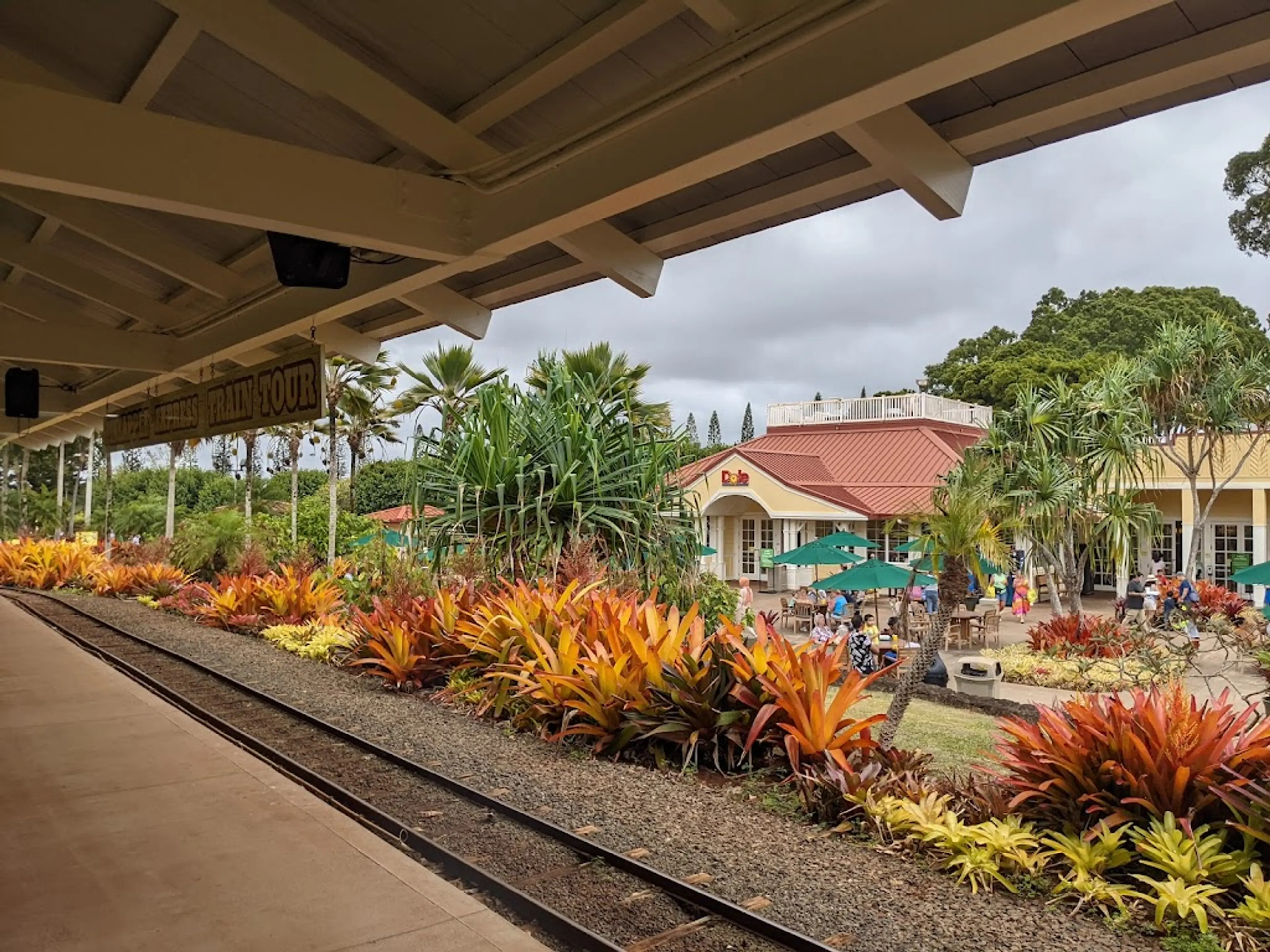 Dole Plantation