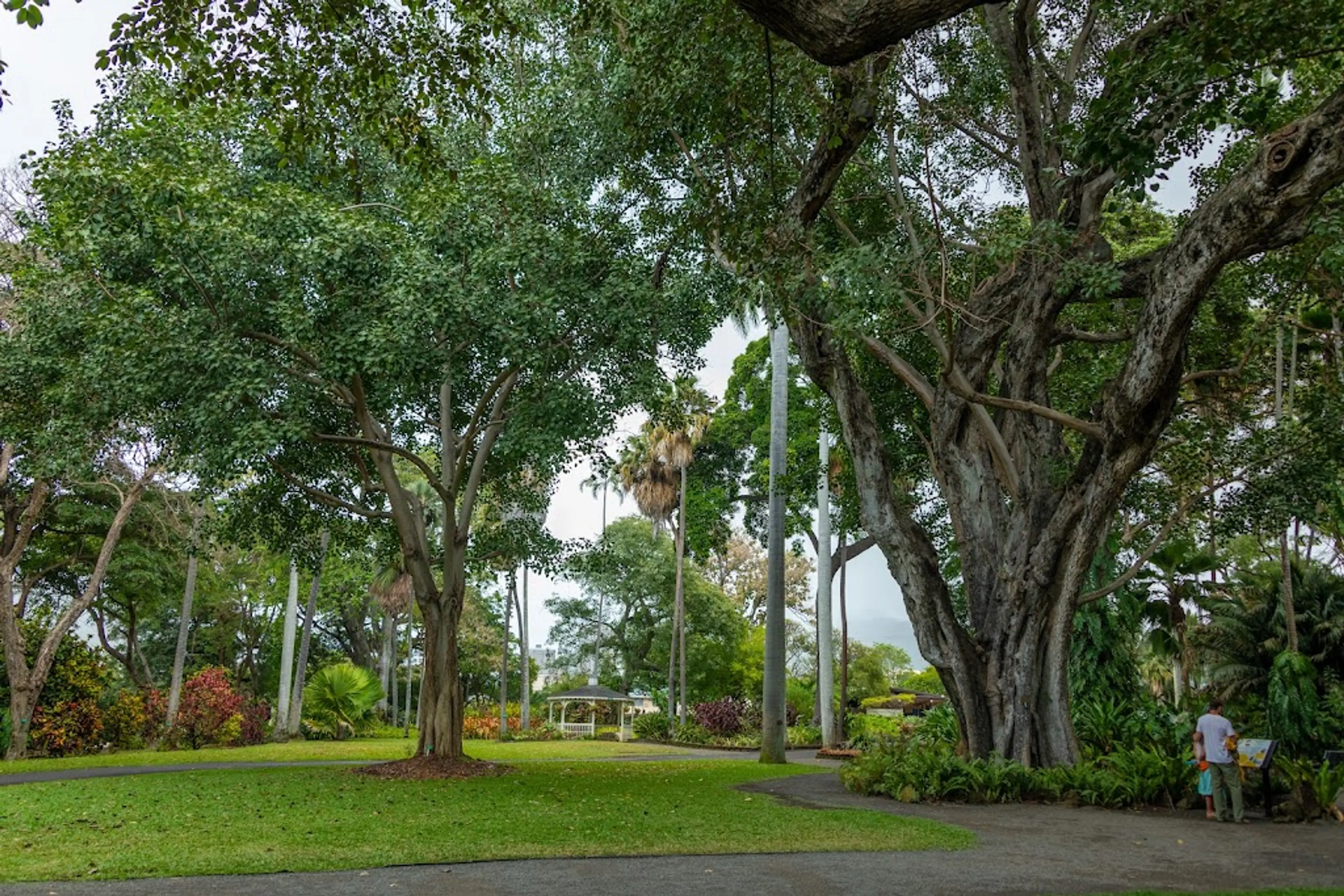 Foster Botanical Garden