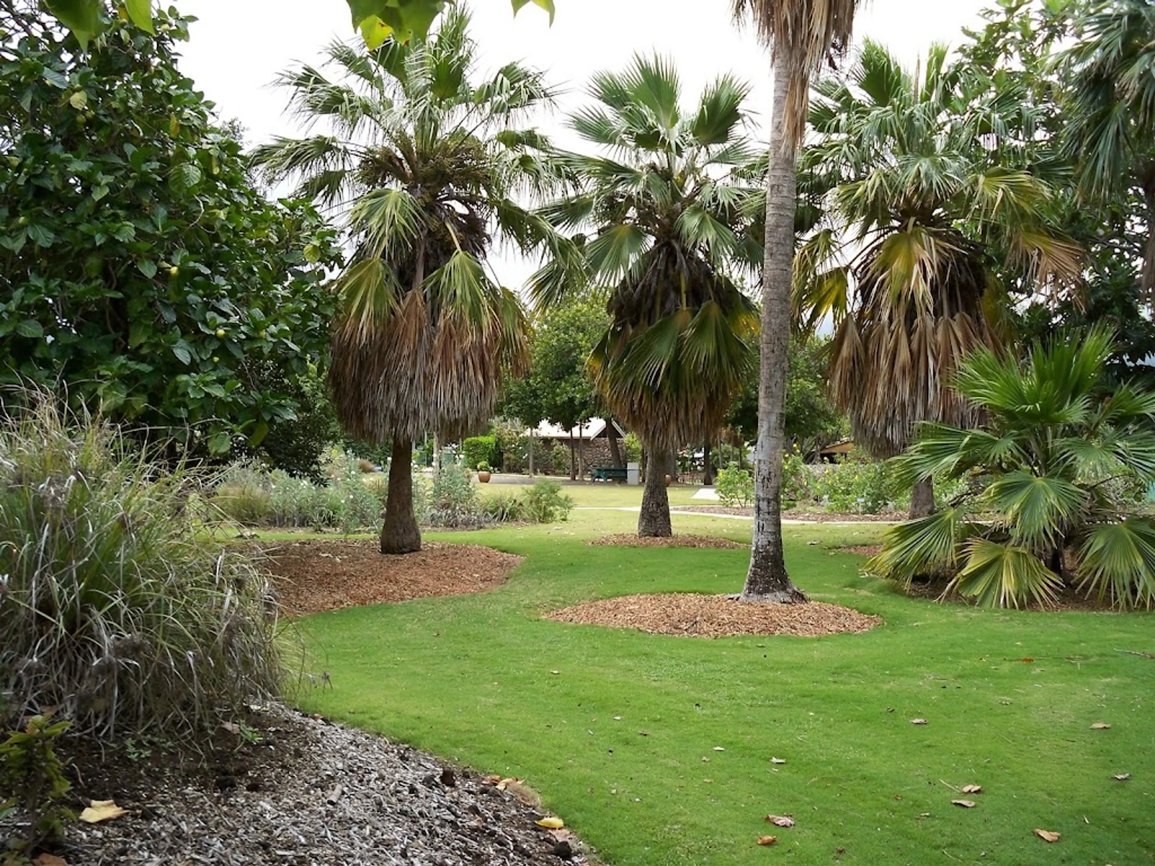 Botanical Garden