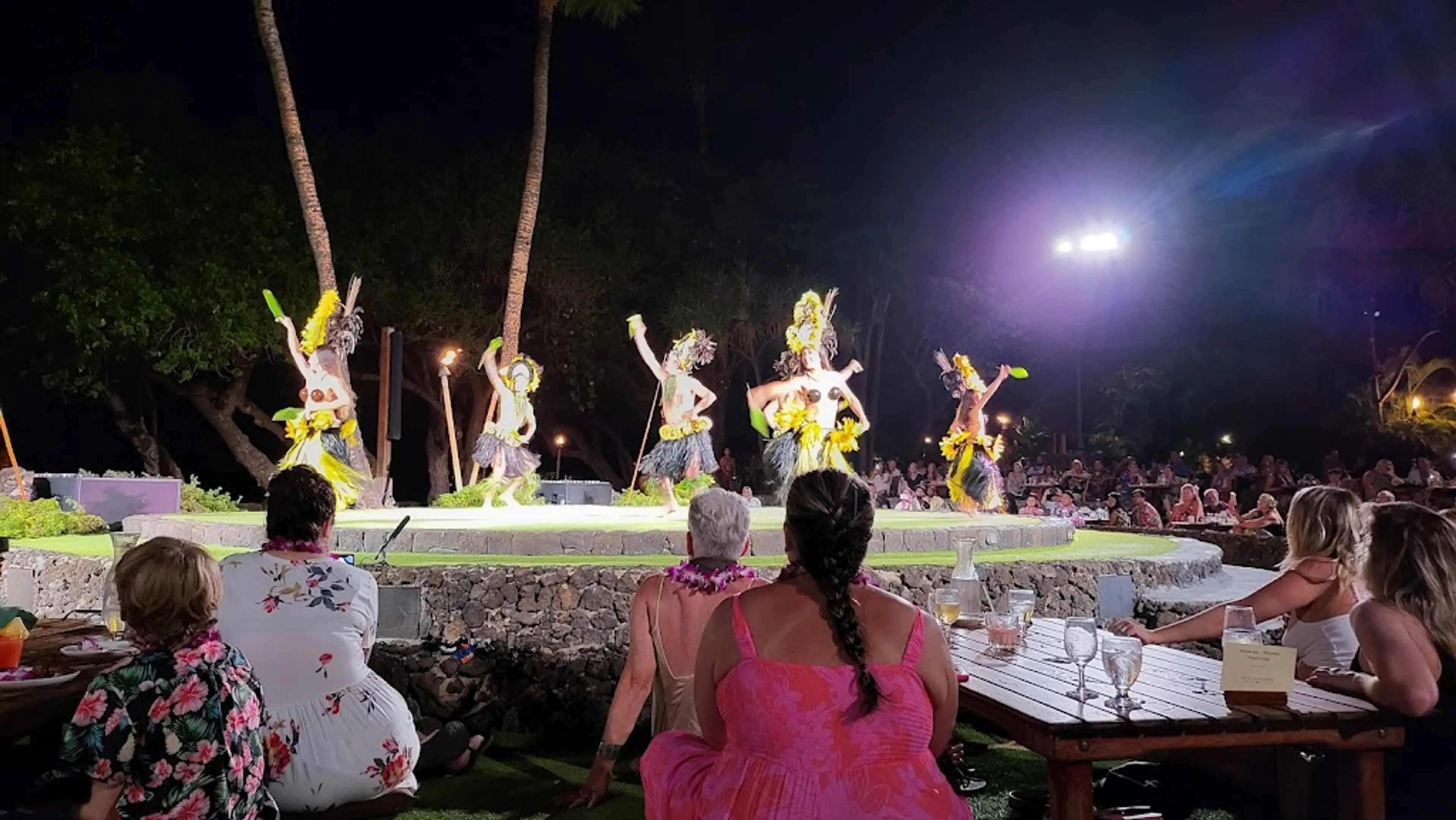 Hawaiian Luau