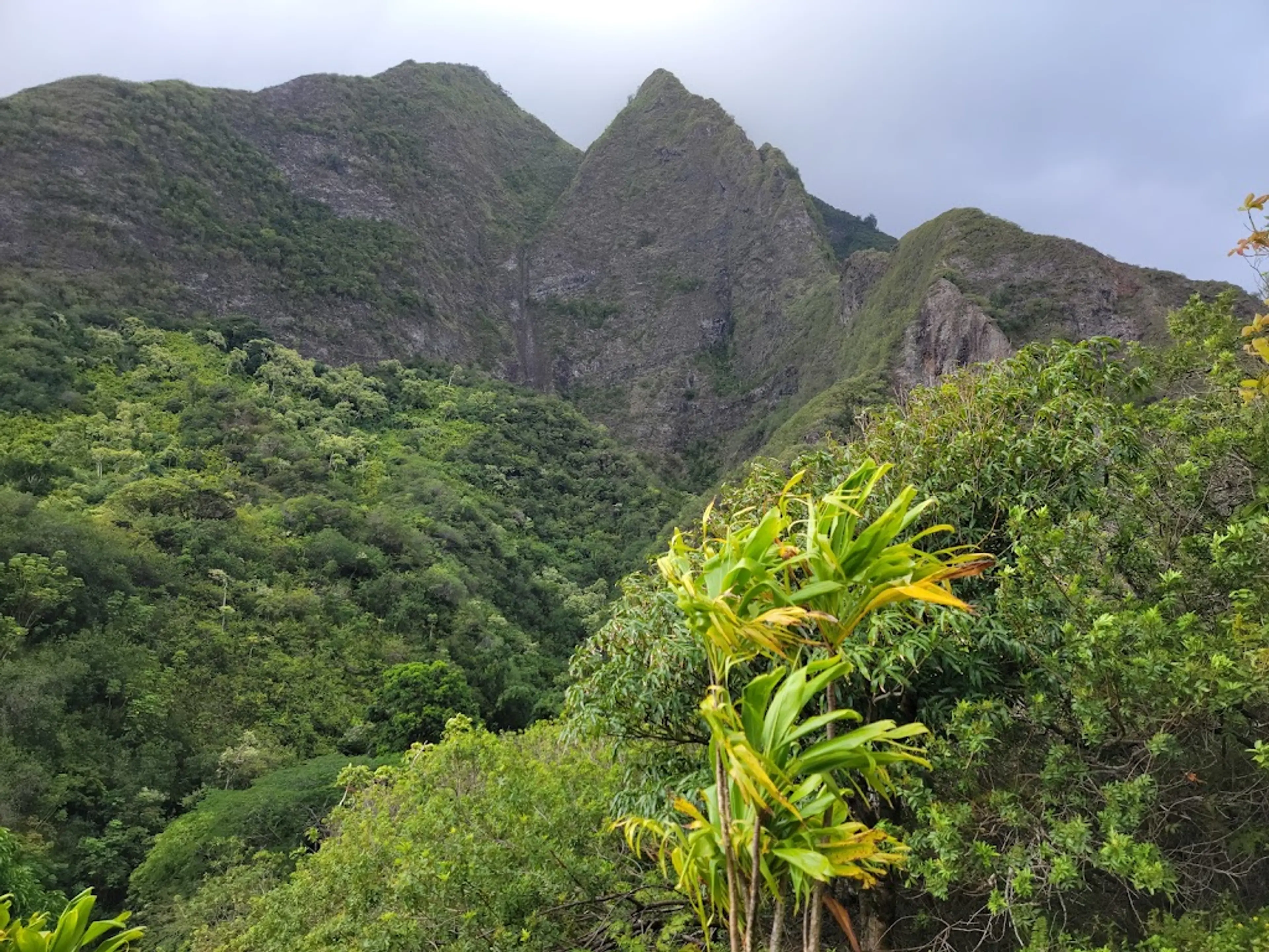 Iao Valley State Park