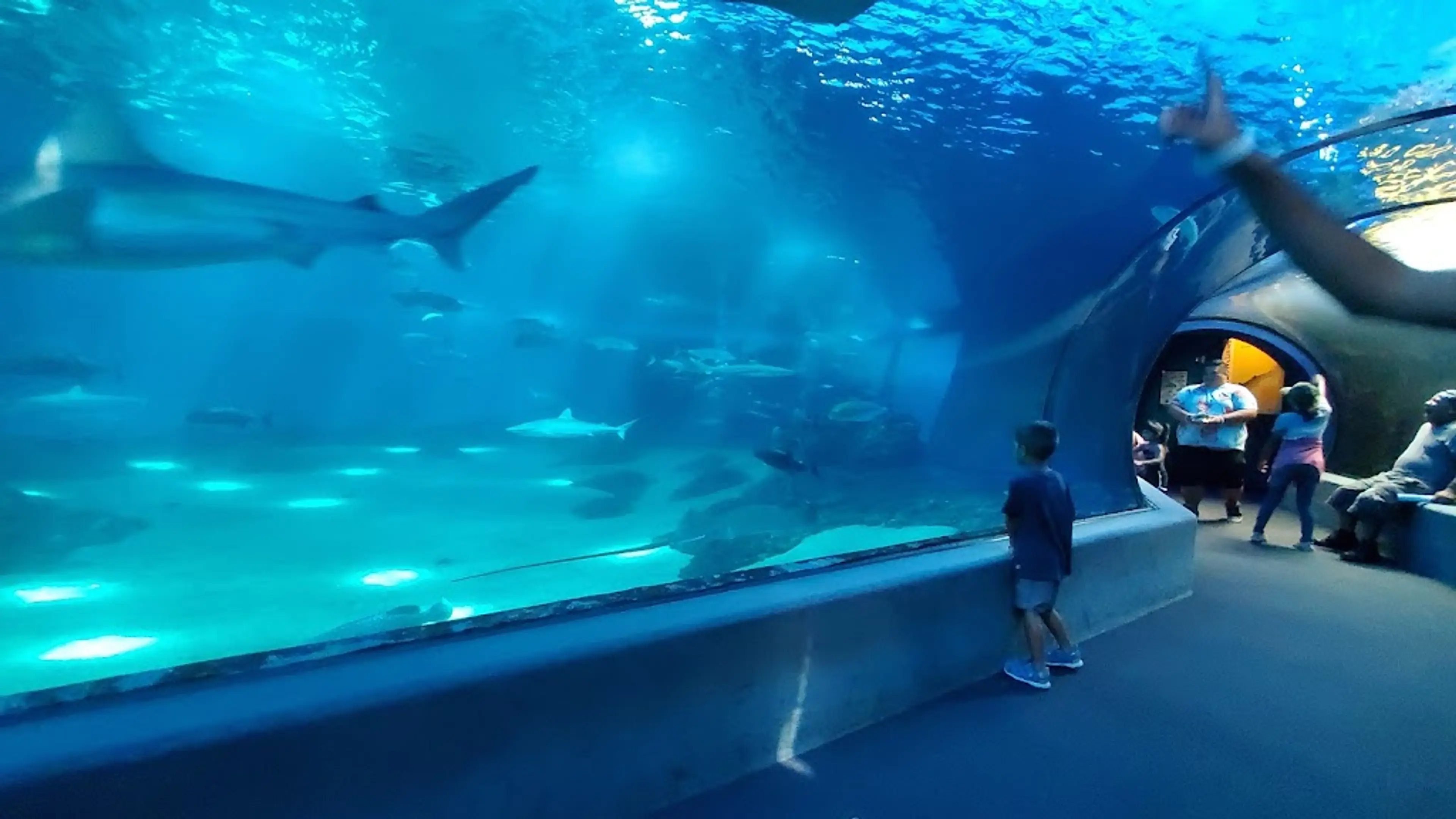 Maui Ocean Center