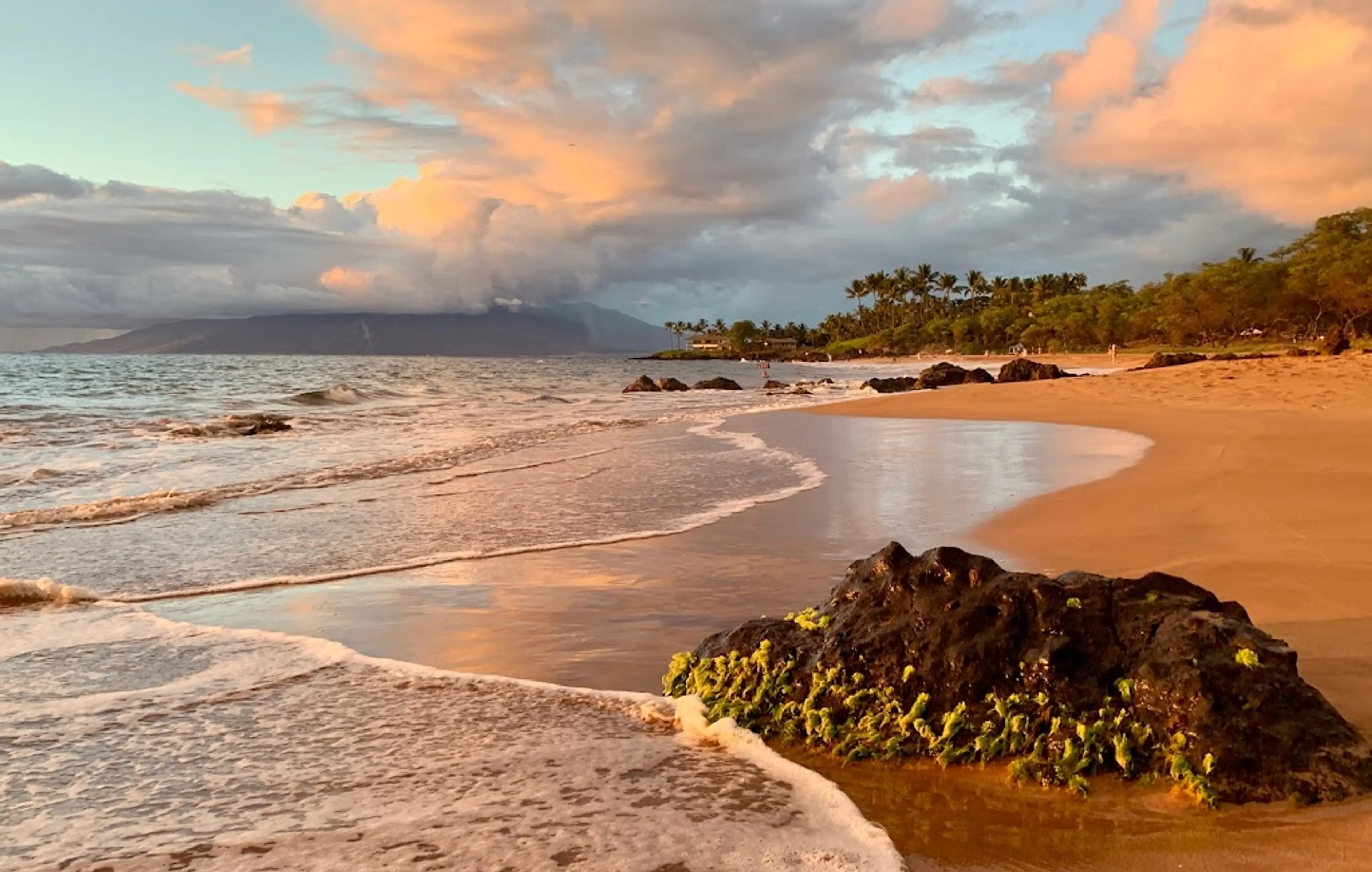 Maui's pristine beaches